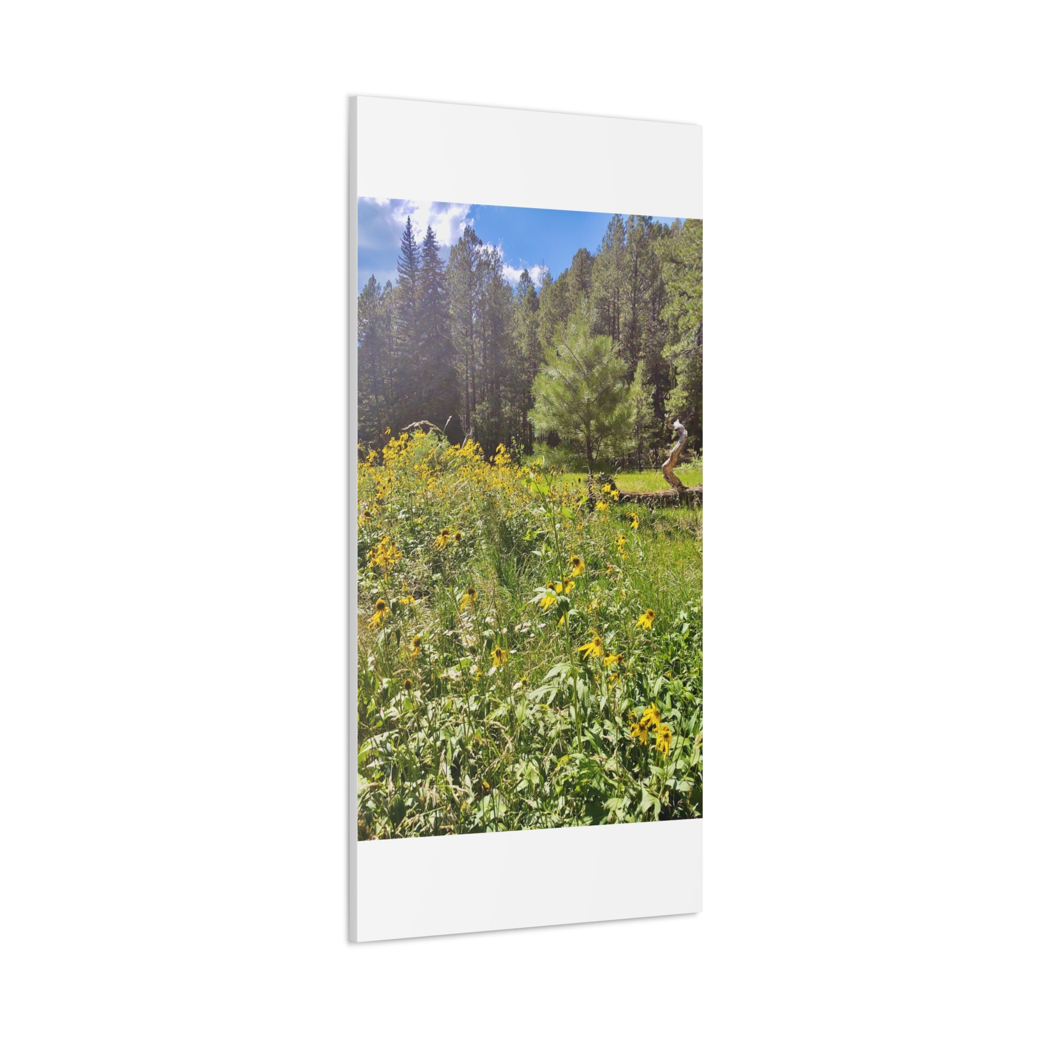 Canvas Wall Art, Nature Photography Decor, Floral Home Decor, Greenery Art Print, Gift for Nature Lovers