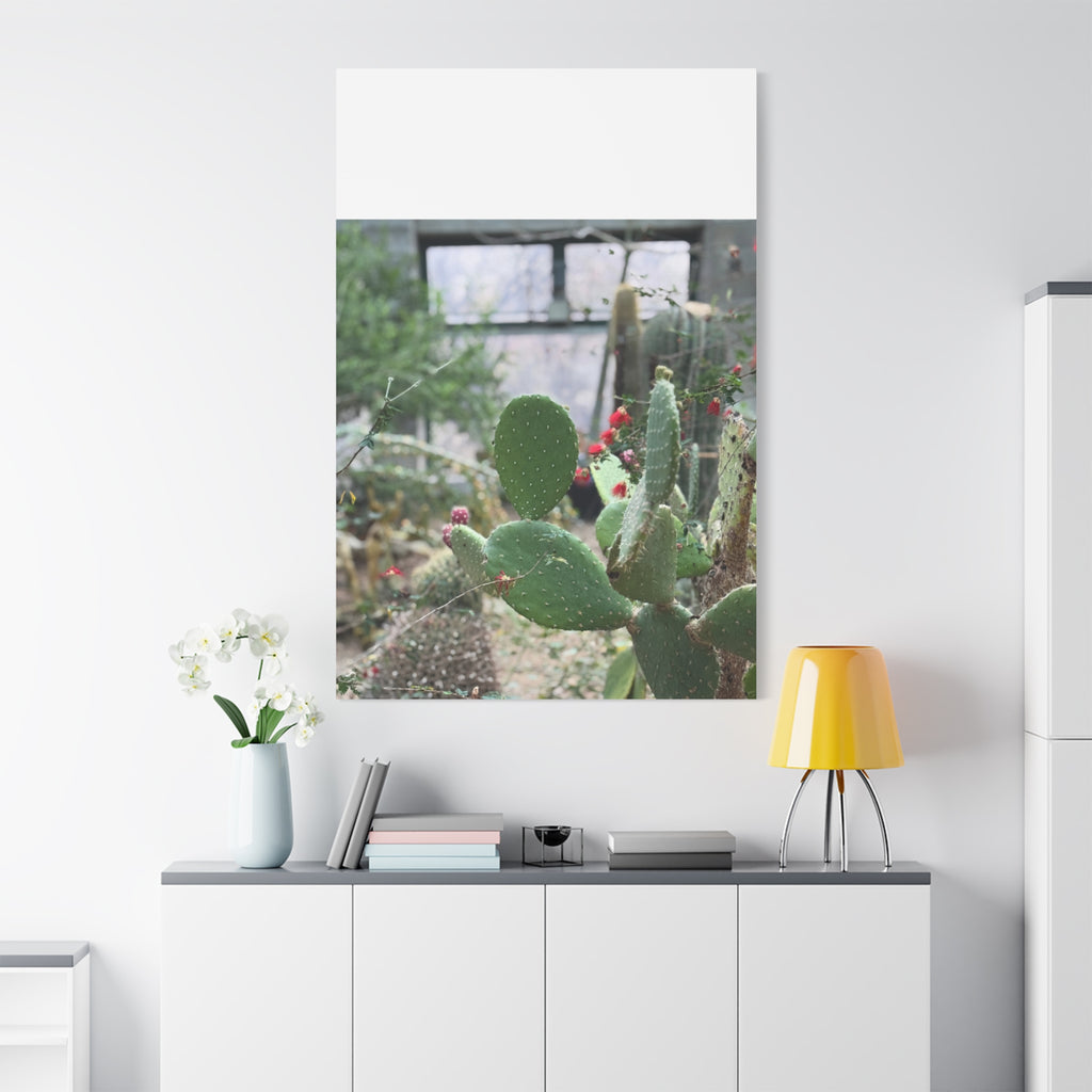 Cactus Matte Canvas Wall Art, Nature Decor, Southwestern Room Design, Green Plant Prints, Home and Office Wall Decor