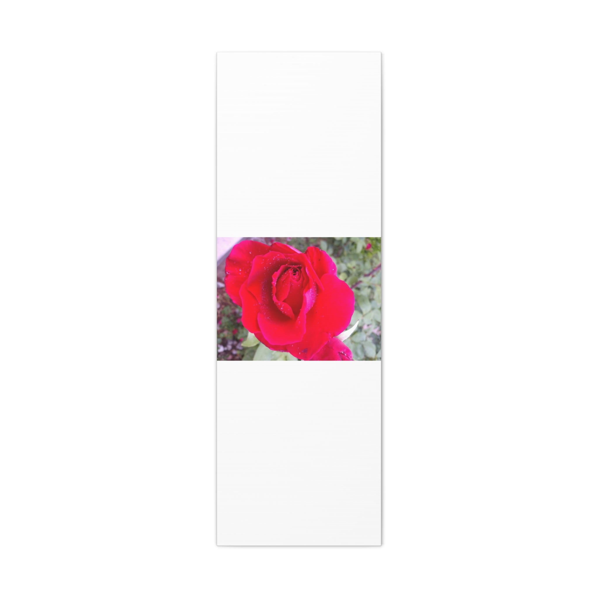 Vibrant Floral Canvas Art, Elegant Wall Decor, Perfect for Home, Gifts, Mother's Day, and Weddings