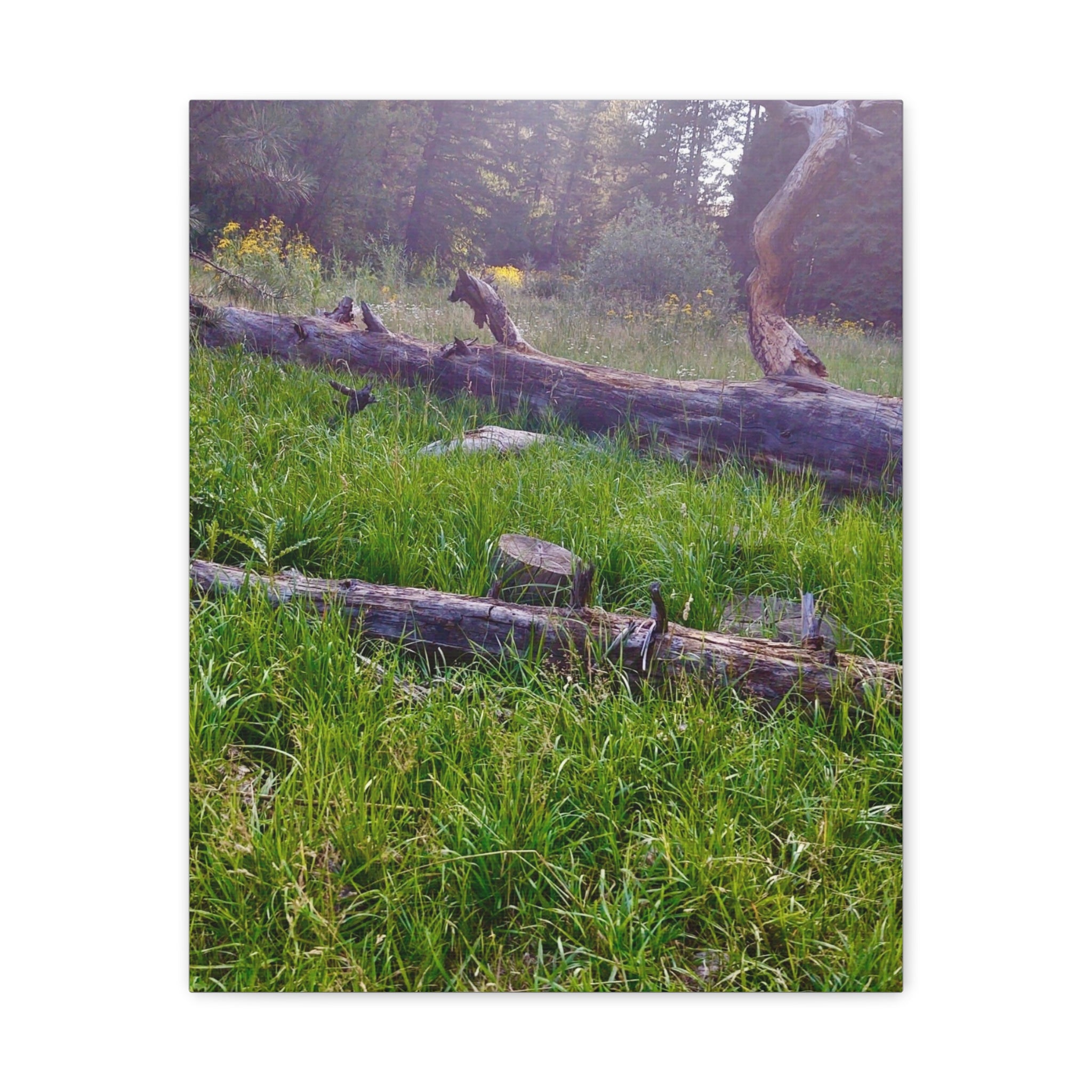 Classic Canvas Wall Art - Nature Decor, Outdoor Wall Hanging, Home Aesthetic, Gift for Nature Lovers, Rustic Cabin Decor