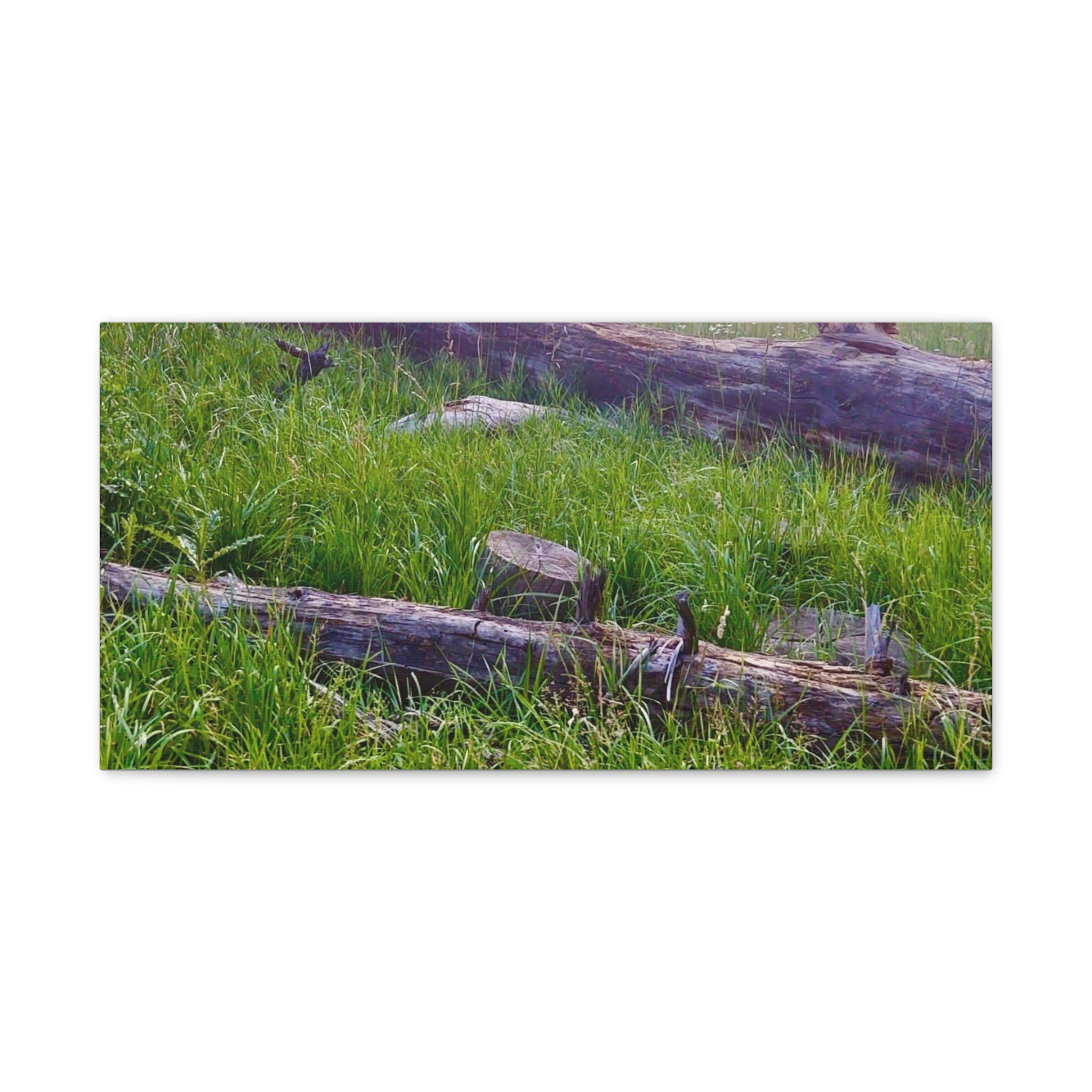 Classic Canvas Wall Art - Nature Decor, Outdoor Wall Hanging, Home Aesthetic, Gift for Nature Lovers, Rustic Cabin Decor