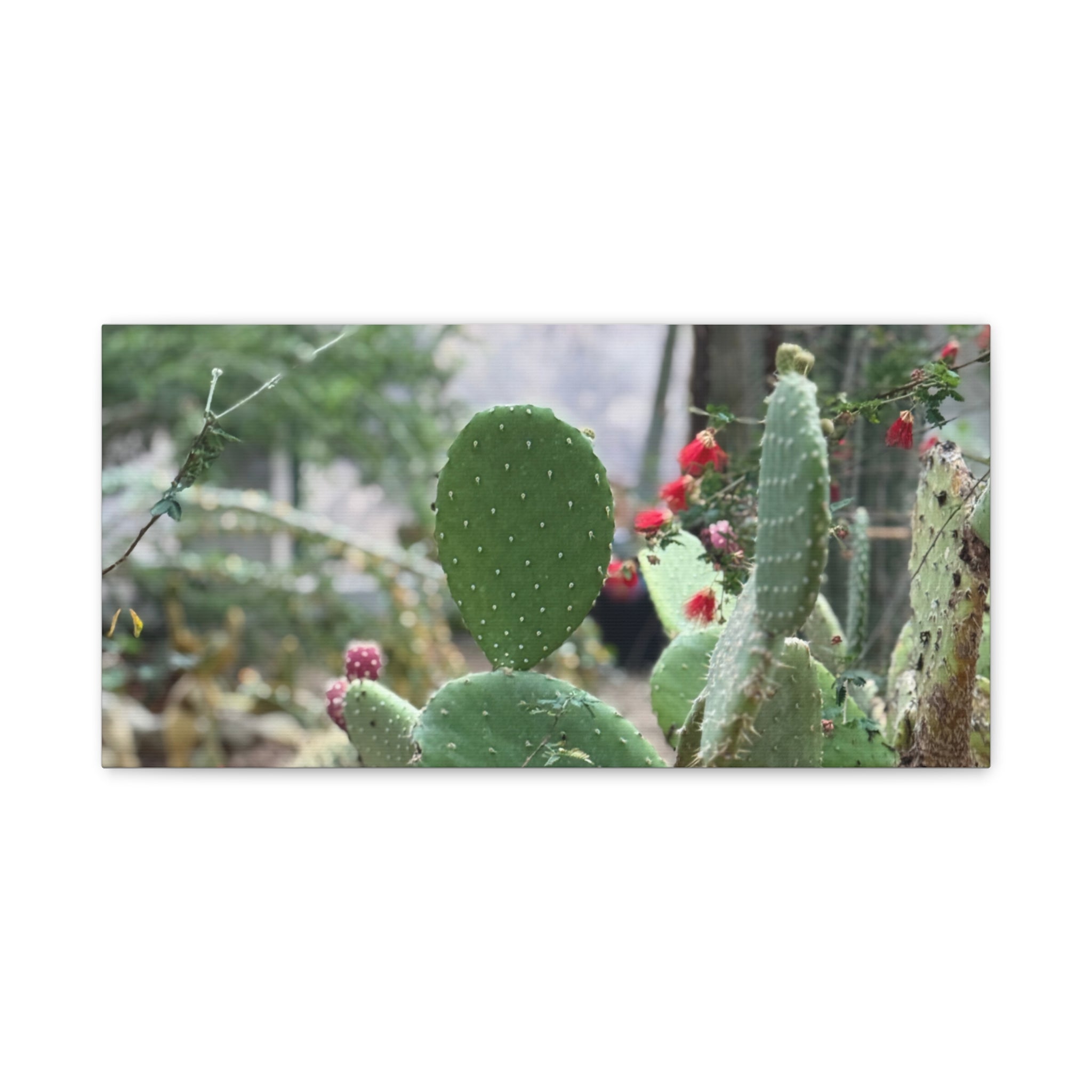 Cactus Matte Canvas Wall Art, Nature Decor, Southwestern Room Design, Green Plant Prints, Home and Office Wall Decor