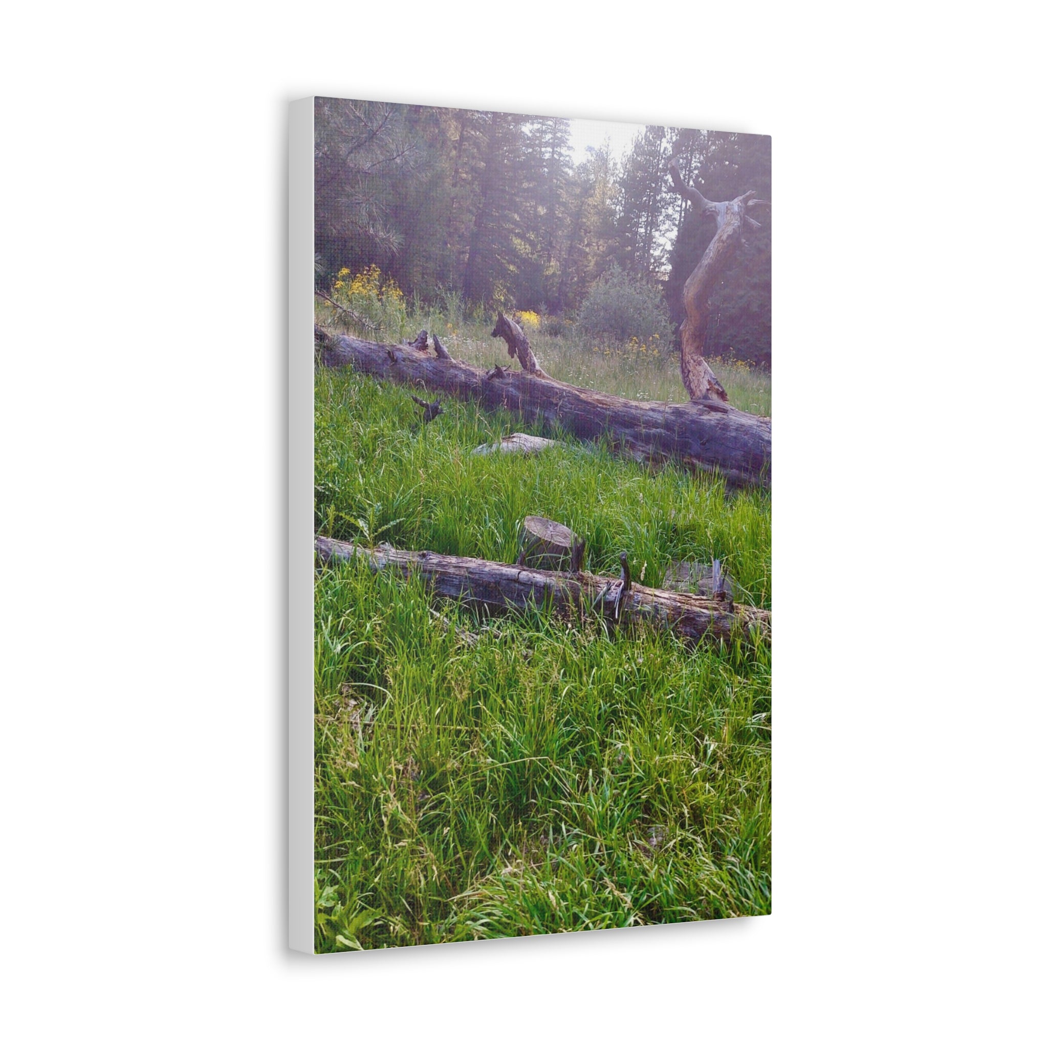 Classic Canvas Wall Art - Nature Decor, Outdoor Wall Hanging, Home Aesthetic, Gift for Nature Lovers, Rustic Cabin Decor