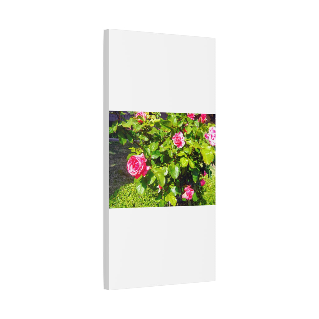 Floral Canvas Wall Art, Pink Rose Decor, Home Gallery Piece, Flower Photography, Garden Wall Decor, Floral Print