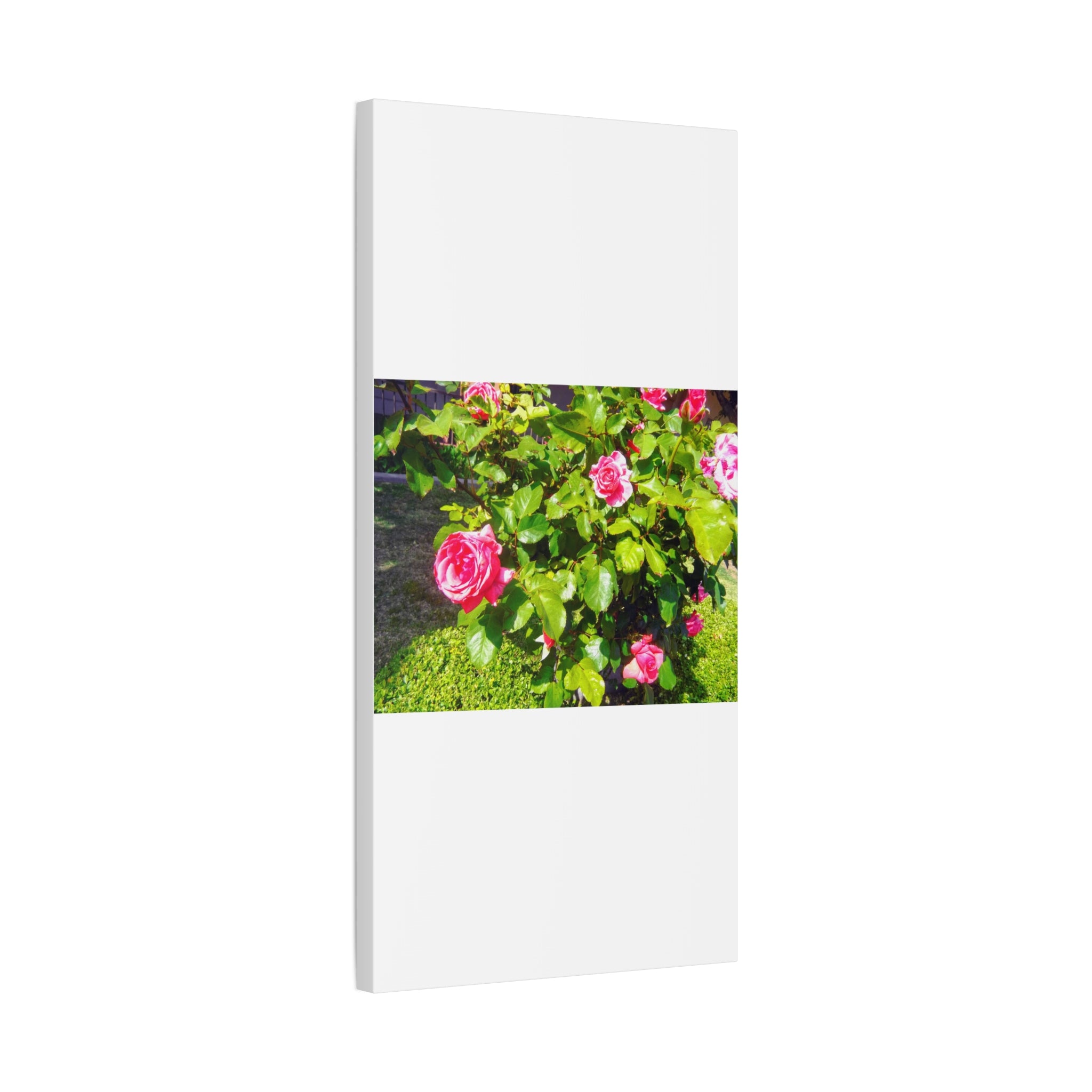 Floral Canvas Wall Art, Pink Rose Decor, Home Gallery Piece, Flower Photography, Garden Wall Decor, Floral Print