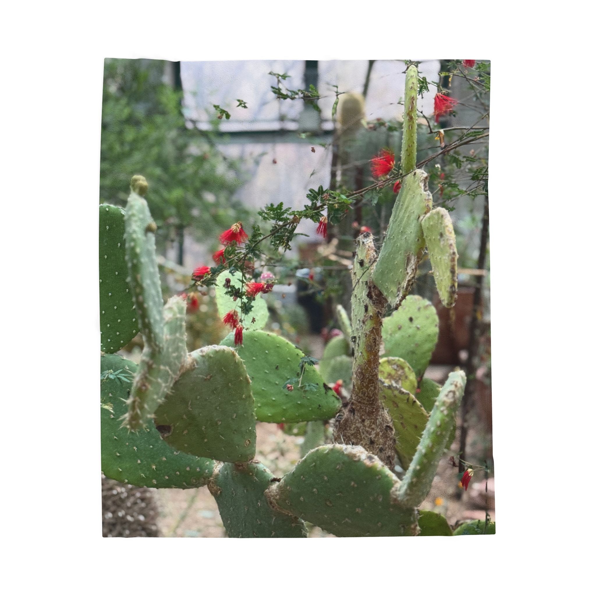 Cactus Garden Velveteen Plush Blanket | Cozy Home Decor, Soft Throw for All Seasons, Gift for Plant Lovers, Nursery Accent, Cactus-Themed