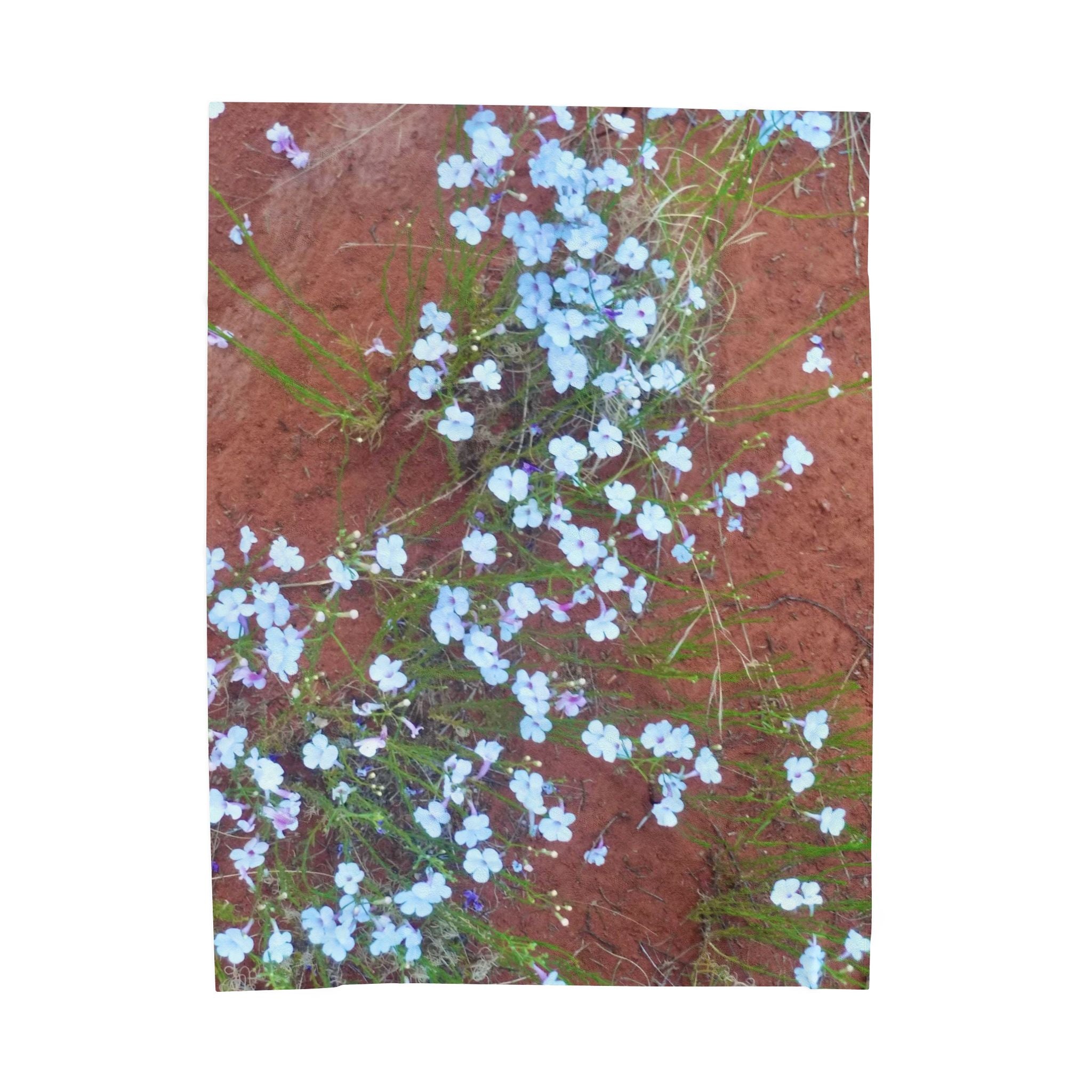 Floral Velveteen Plush Blanket | Cozy Home Décor, Perfect Gift for Holidays, Soft Throw for Bedrooms, Rustic Cottage Style