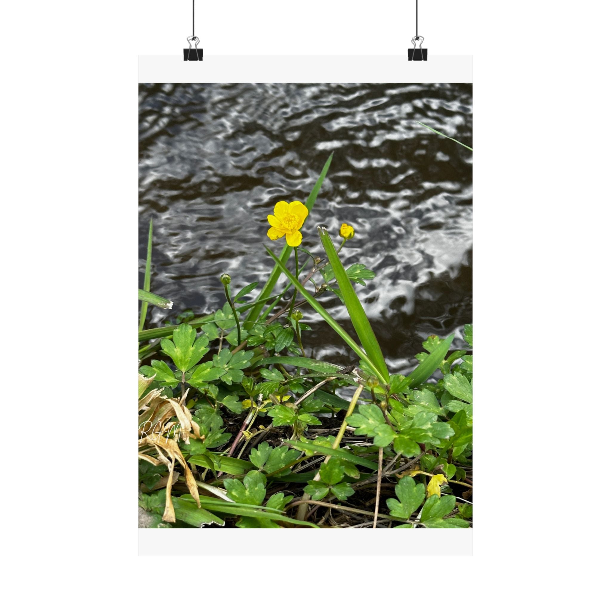 Nature-Inspired Matte Vertical Posters | Vibrant Floral Art for Home Decor, Gift for Nature Lovers, Wall Art, Eco-Friendly Decor