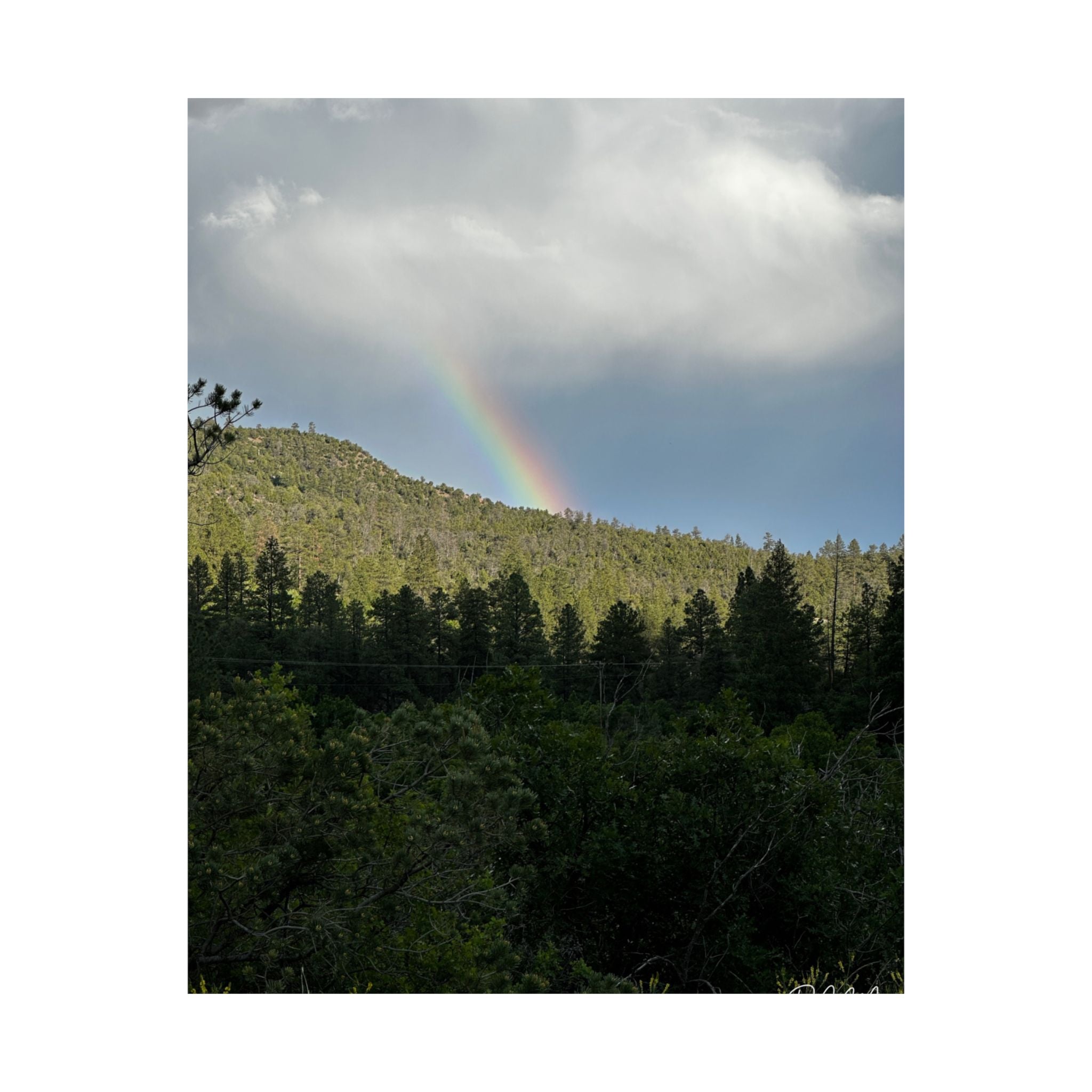 Rainbow Landscape Matte Vertical Posters, Nature Wall Art, Home Decor, Gift for Nature Lovers, Inspirational Prints