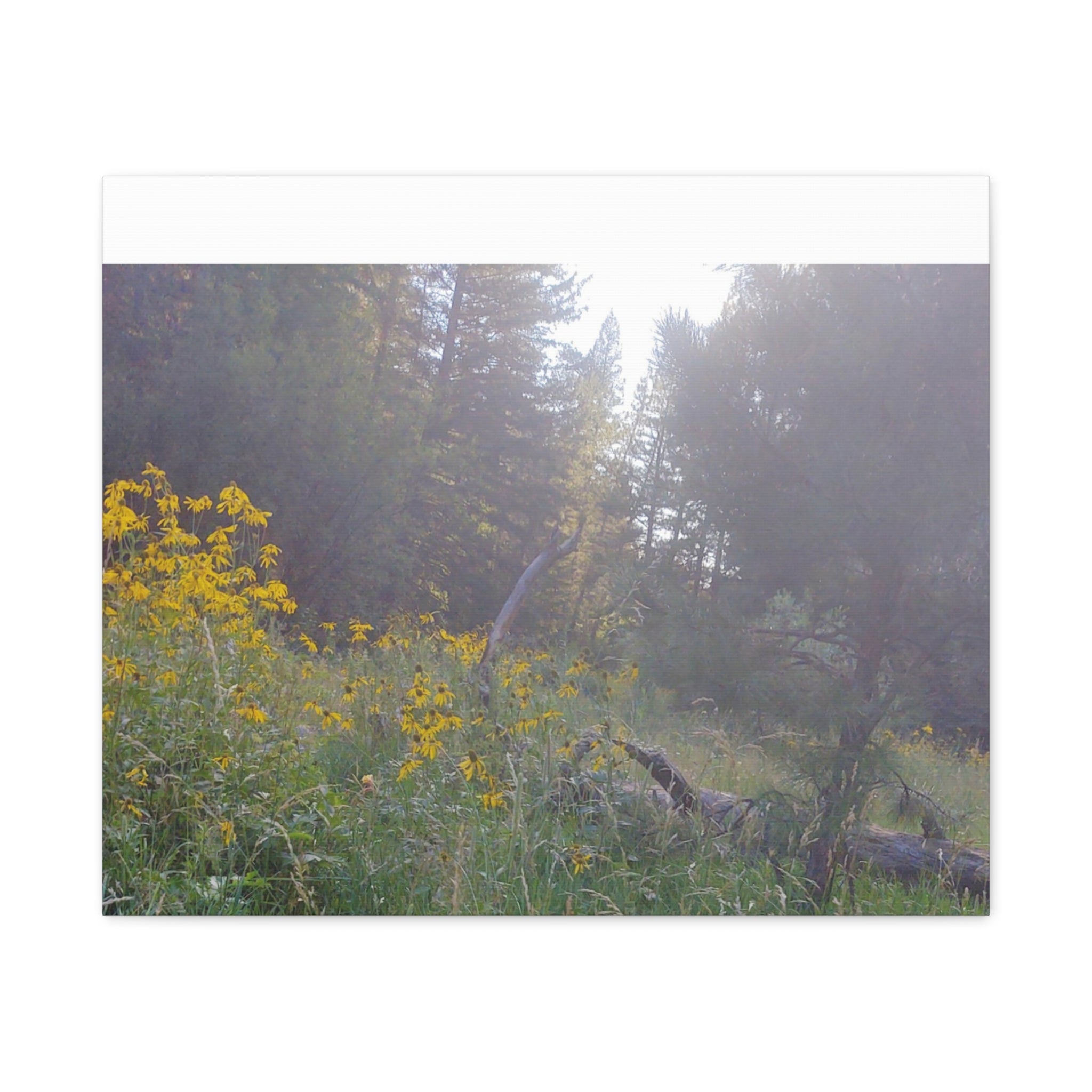 Matte Canvas, Stretched, 1.25"