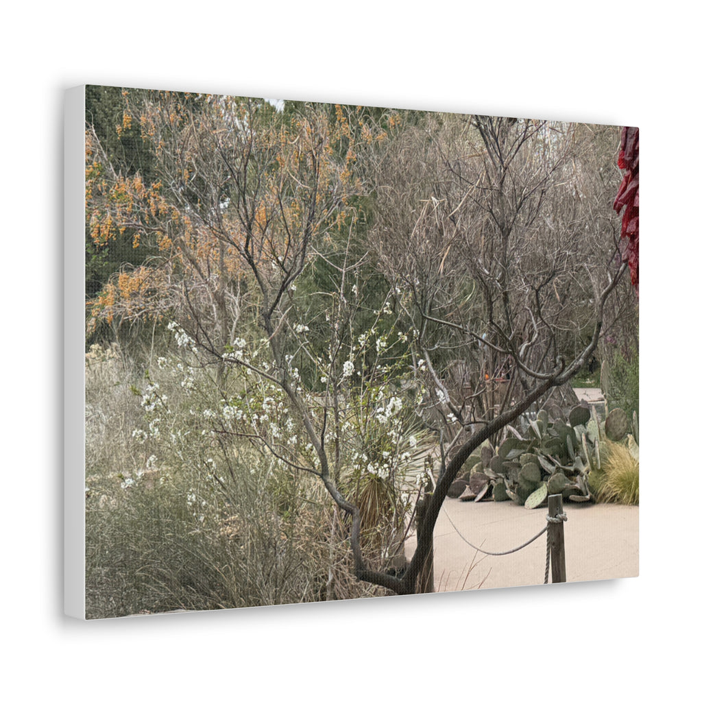 Classic Canvas Art Print, Bohemian Decor, Nature Wall Art, Home Gallery, Rustic Wall Decoration