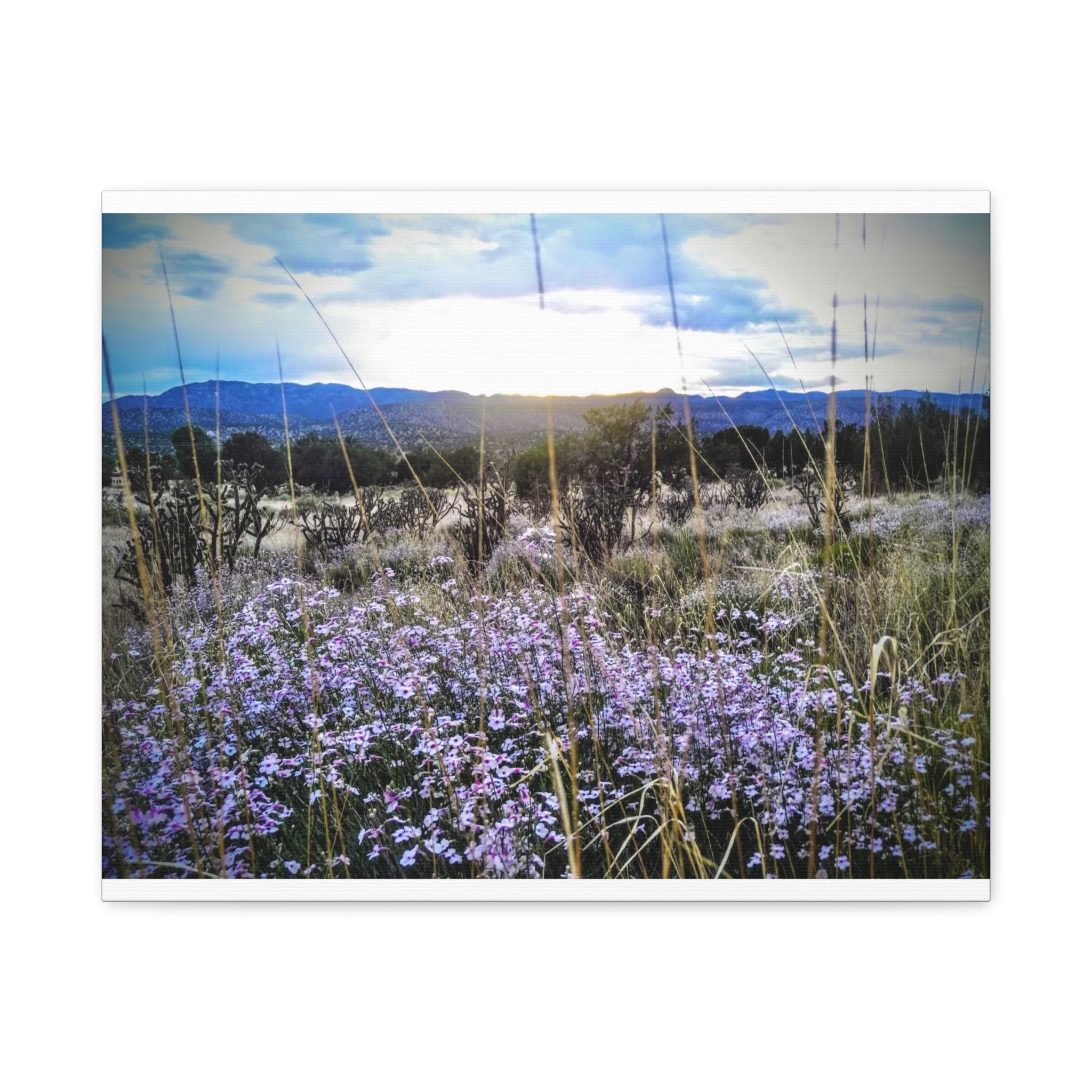 Framed Botanical Wall Art, Floral Canvas Print, Nature Decor, Home Interior Art, Gift for Garden Lovers, Beautiful Flower Landscape