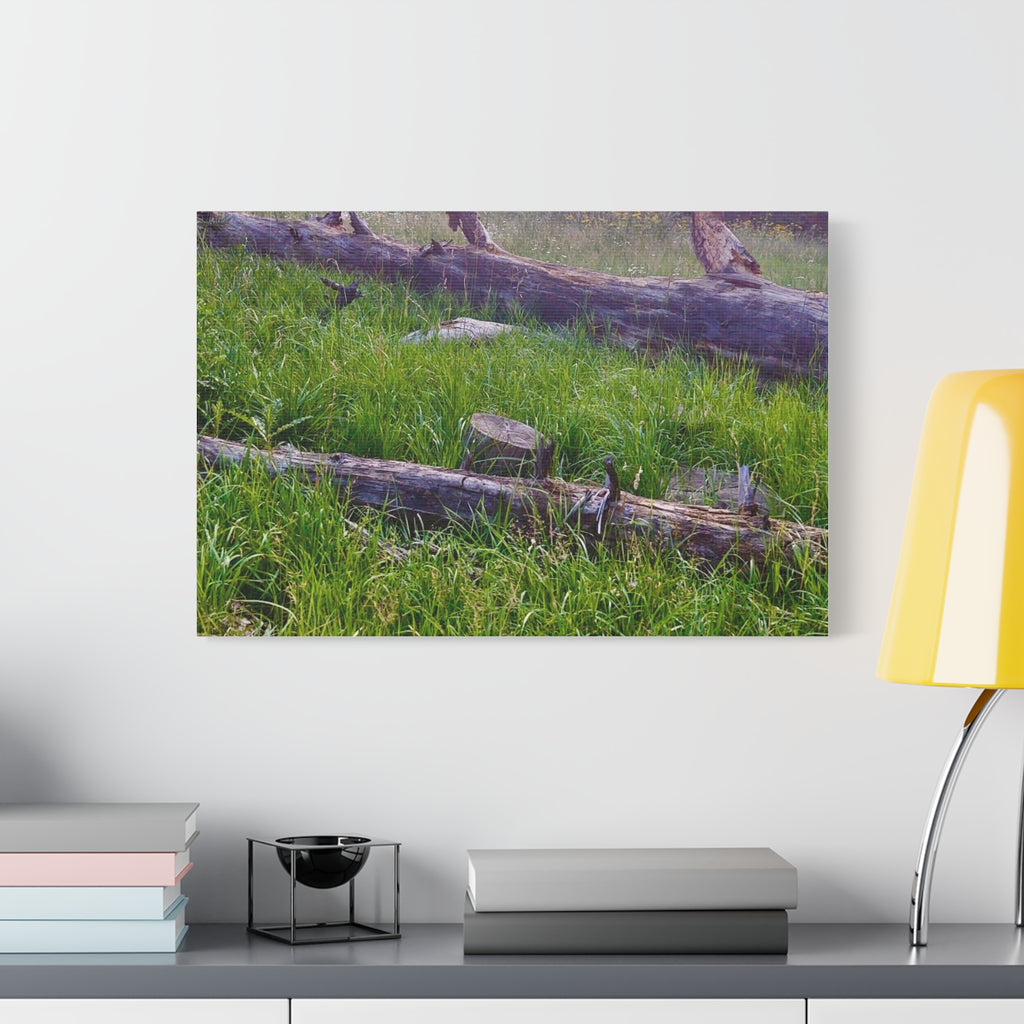 Classic Canvas Wall Art - Nature Decor, Outdoor Wall Hanging, Home Aesthetic, Gift for Nature Lovers, Rustic Cabin Decor