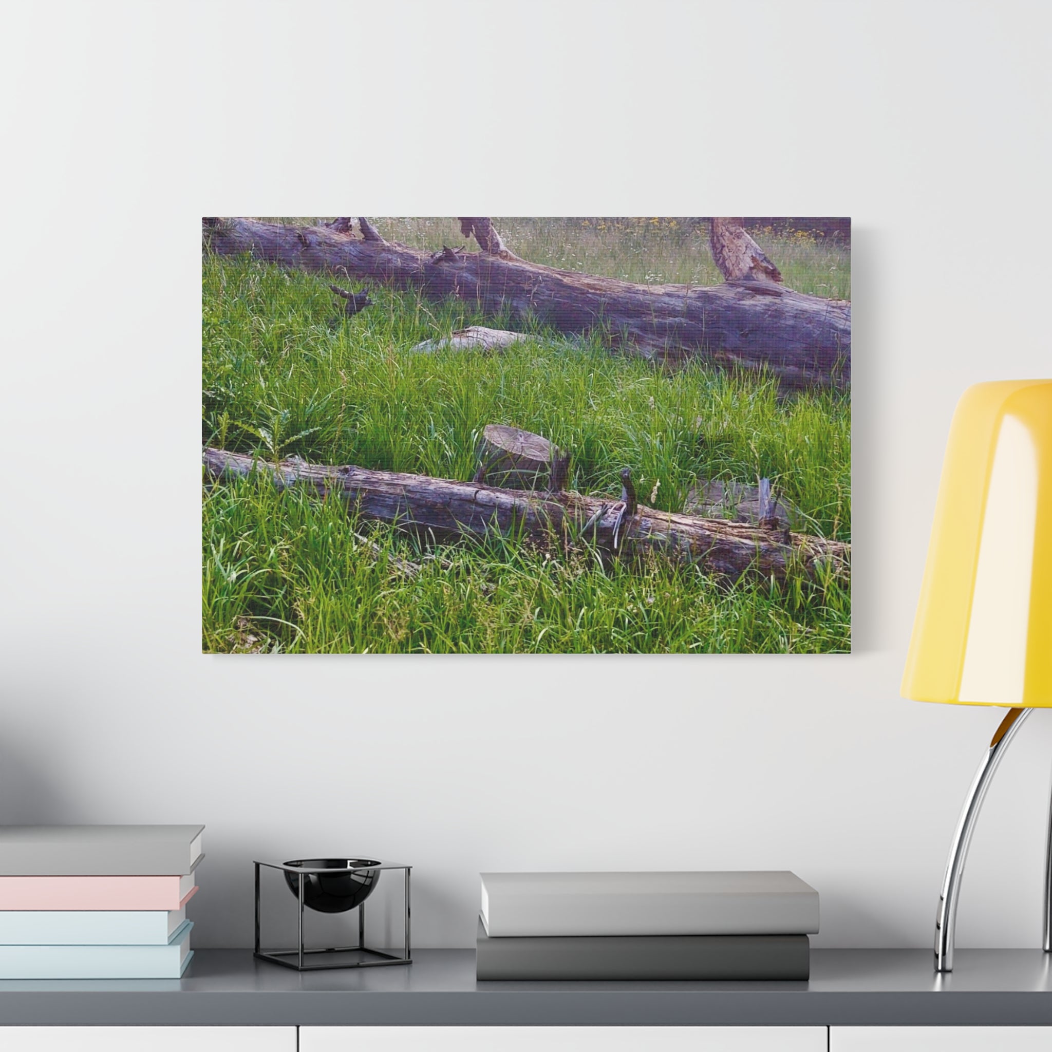 Classic Canvas Wall Art - Nature Decor, Outdoor Wall Hanging, Home Aesthetic, Gift for Nature Lovers, Rustic Cabin Decor