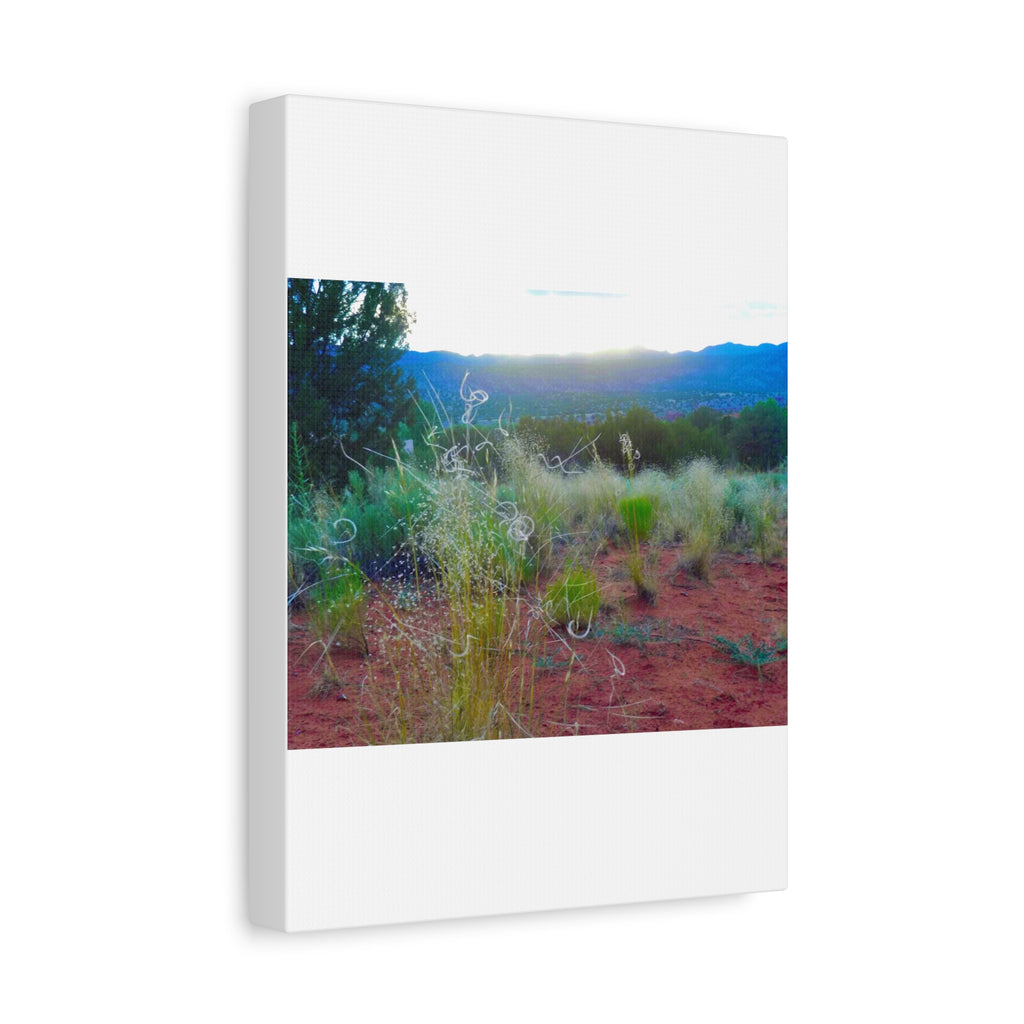 Stretched Canvas Art Print, Nature Wall Decor, Boho Home Decor, Rustic Landscape Art, Gift for Nature Lovers