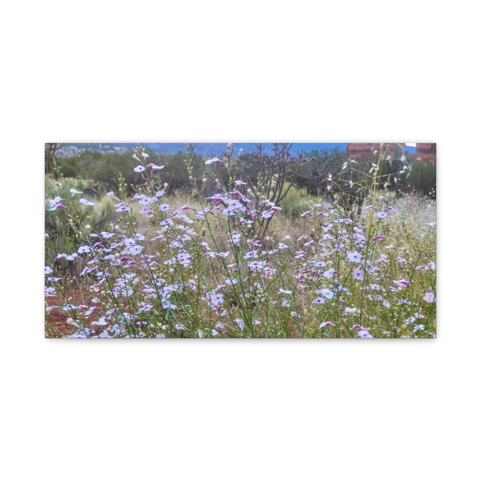 Floral Canvas Art Print, Nature Decor for Home, Wall Art for Office, Gift for Garden Lovers, Botanical Wall Decor, Spring Vibes