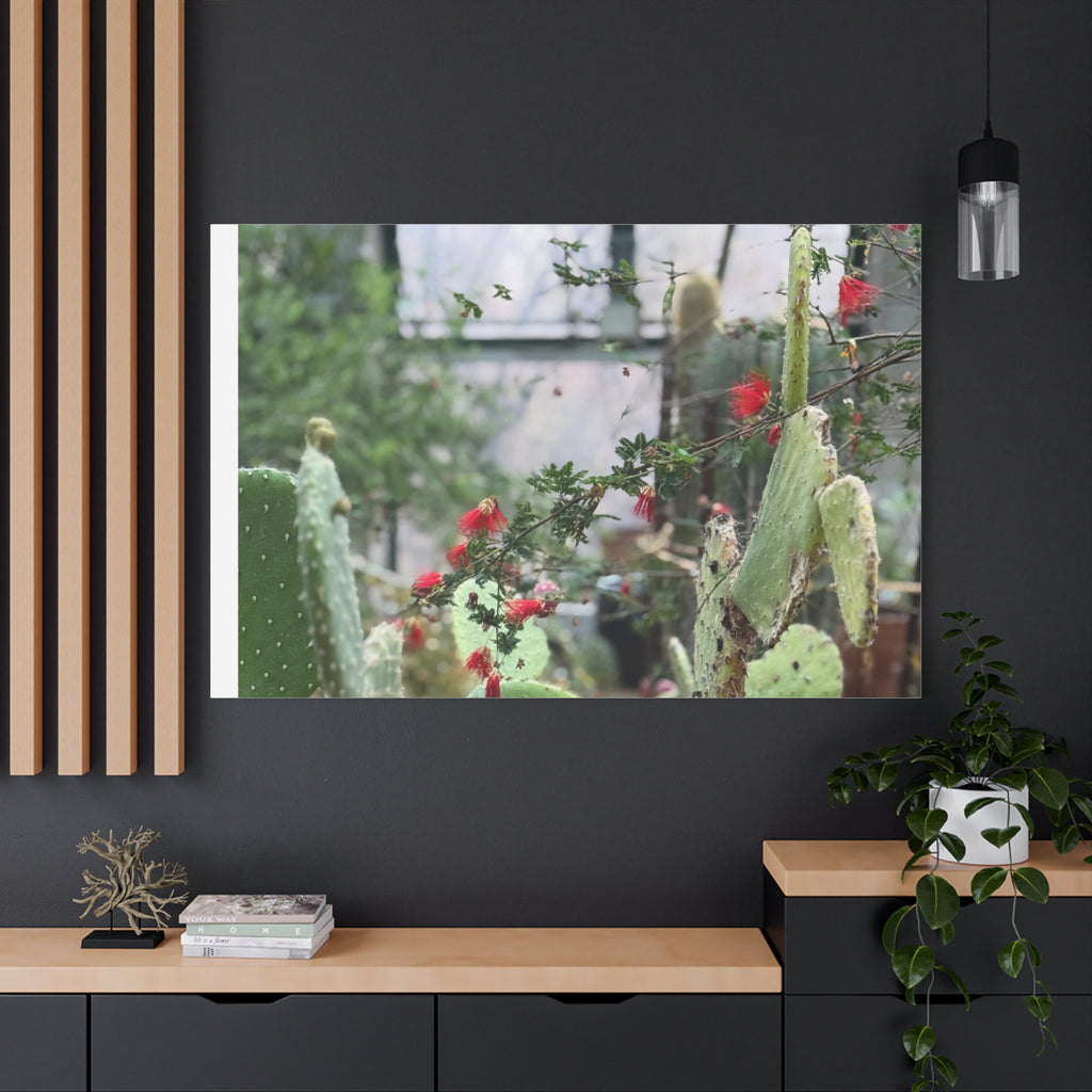 Cactus Wall Art Print, Nature Home Decor, Bohemian Style Artwork, Botanical Gift, Succulent Canvas