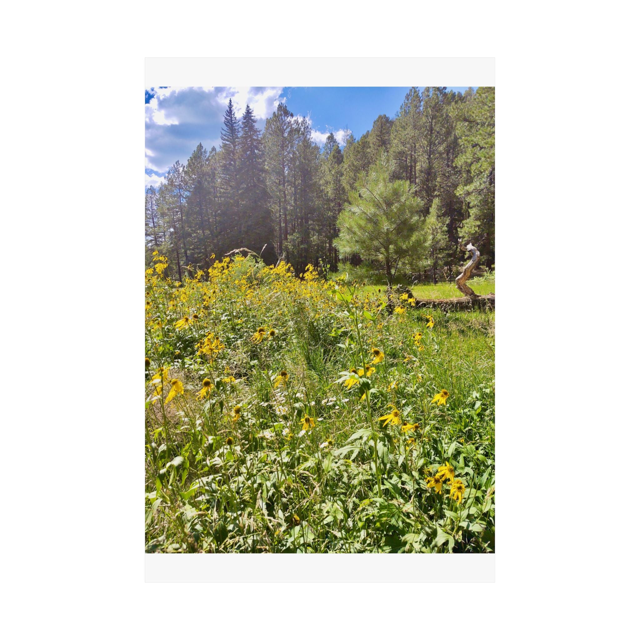 Nature-Inspired Matte Vertical Posters, Floral Wall Art, Home Decor, Gift for Nature Lovers, Botanical Print, Office Decoration