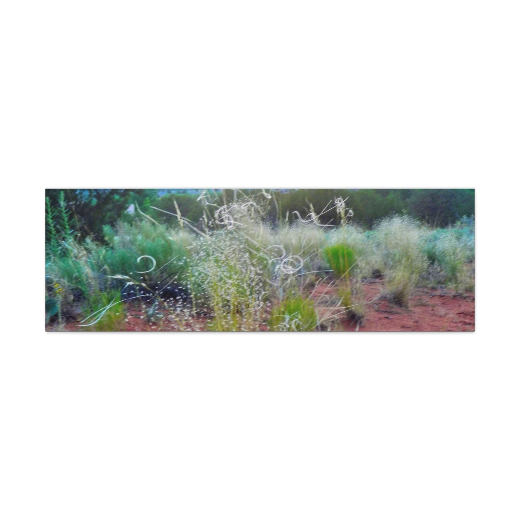 Serene Desert Landscape Canvas Print, Nature Wall Art, Home Decor, Gift for Nature Lovers, Rustic Art for Living Room, Boho Decor