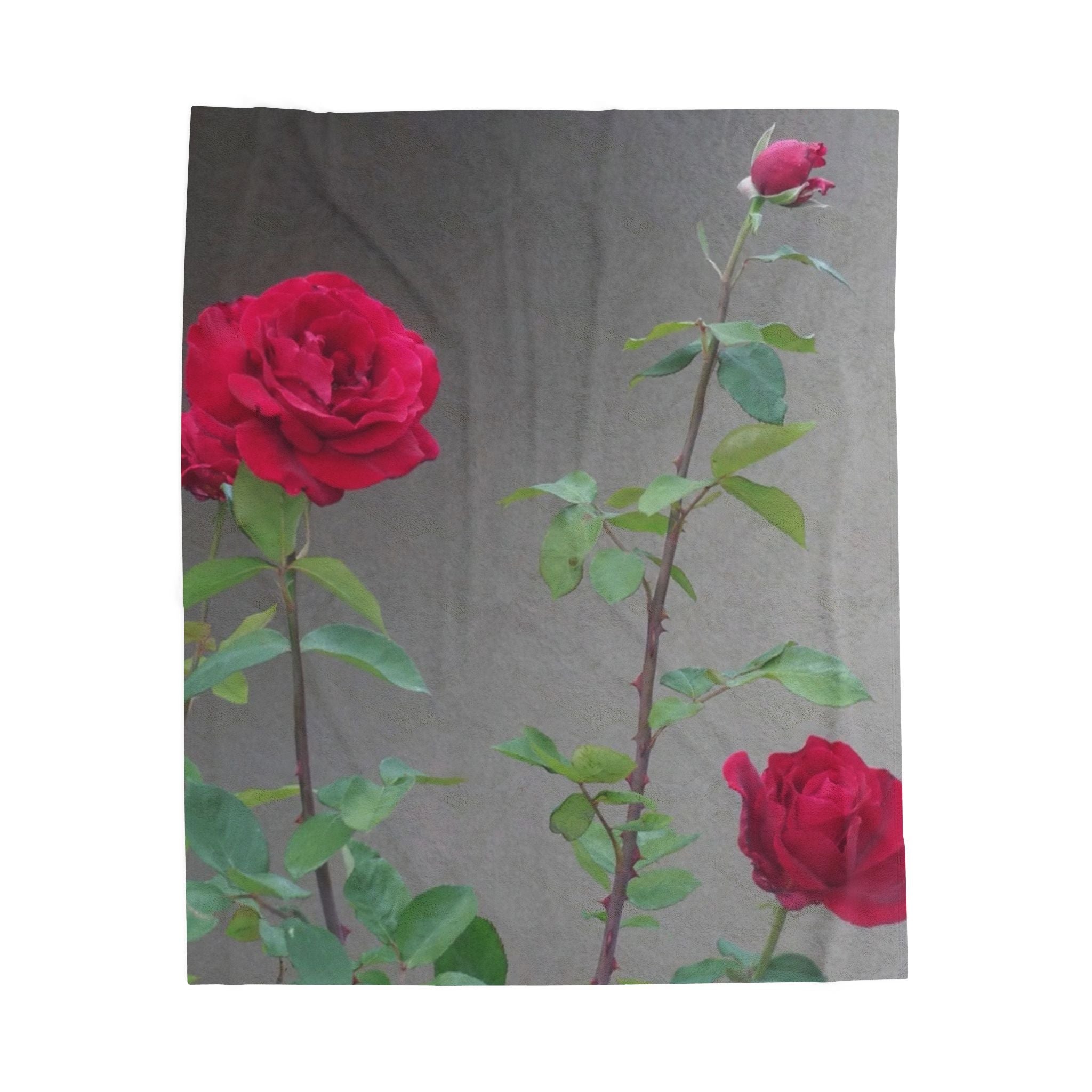 Cozy Floral Velveteen Plush Blanket | Soft Throw | Home Decor | Gift for Her, Valentine's Day, Anniversary, Wedding