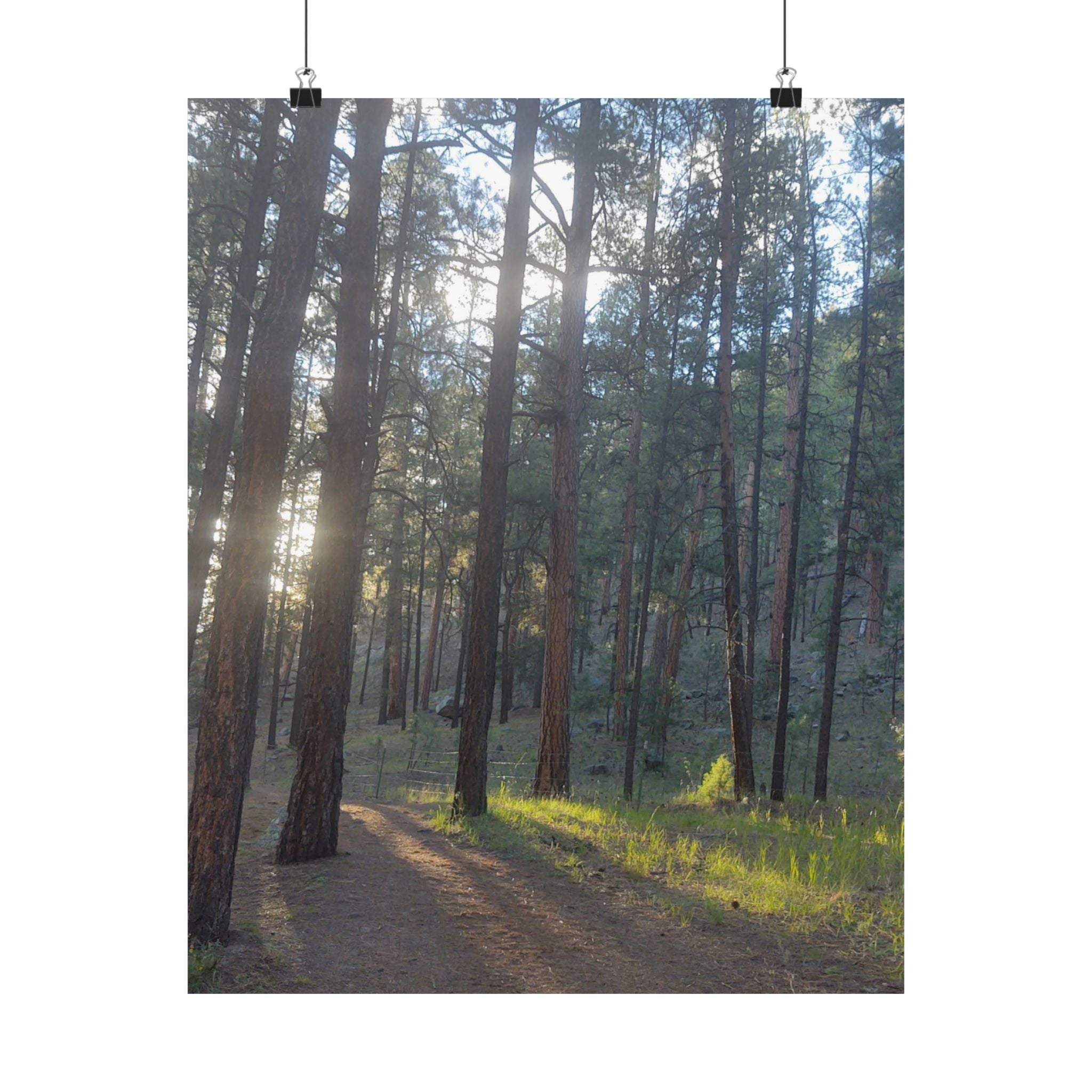 Serene Nature Matte Vertical Posters, Forest Wall Art, Home Decor, Gift Idea, Nature Lover's Decor, Inspirational Art Print