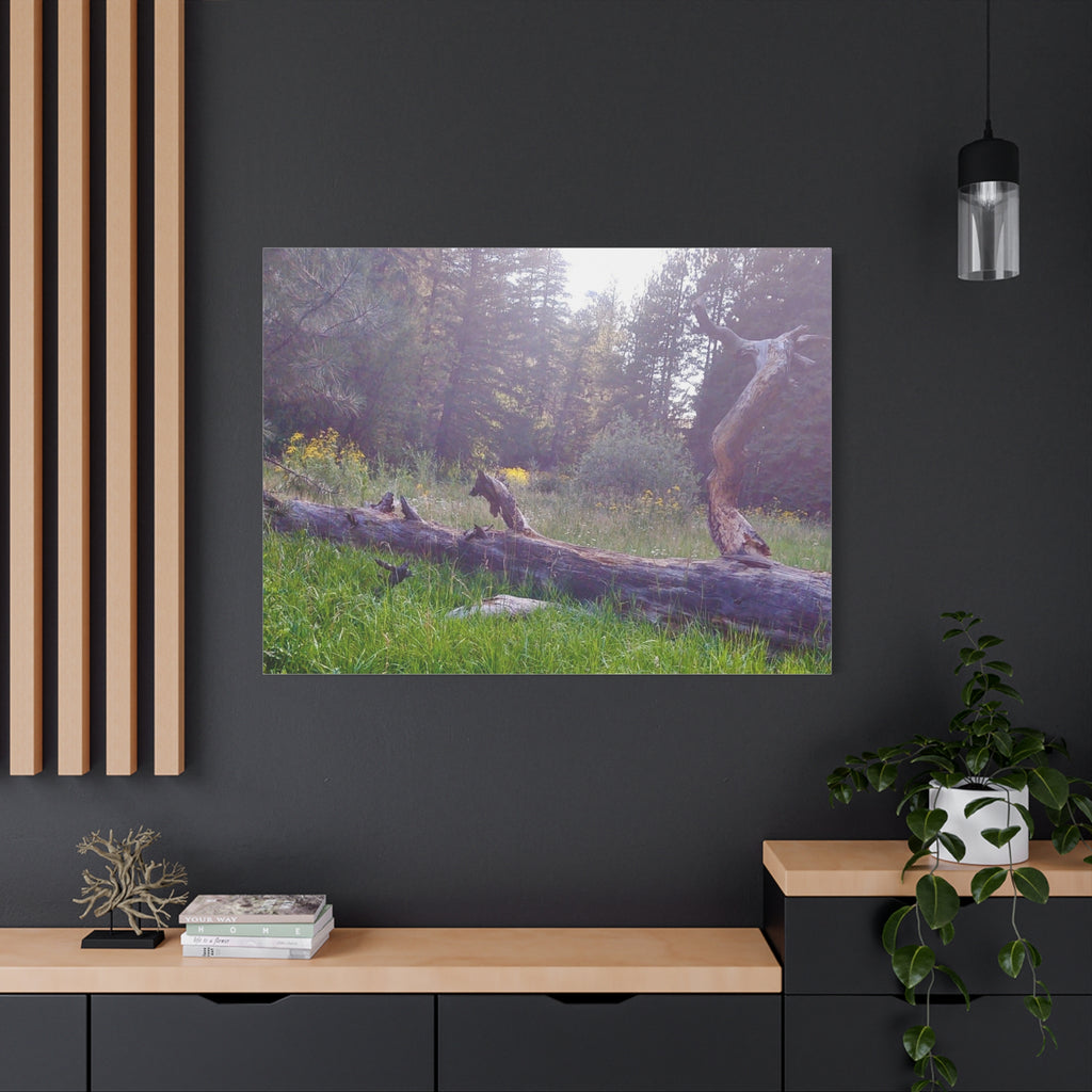 Matte Canvas Wall Art - Serene Nature Scene, Perfect for Home Decor, Gift for Nature Lovers, Office Wall Decoration, Rustic Art Print