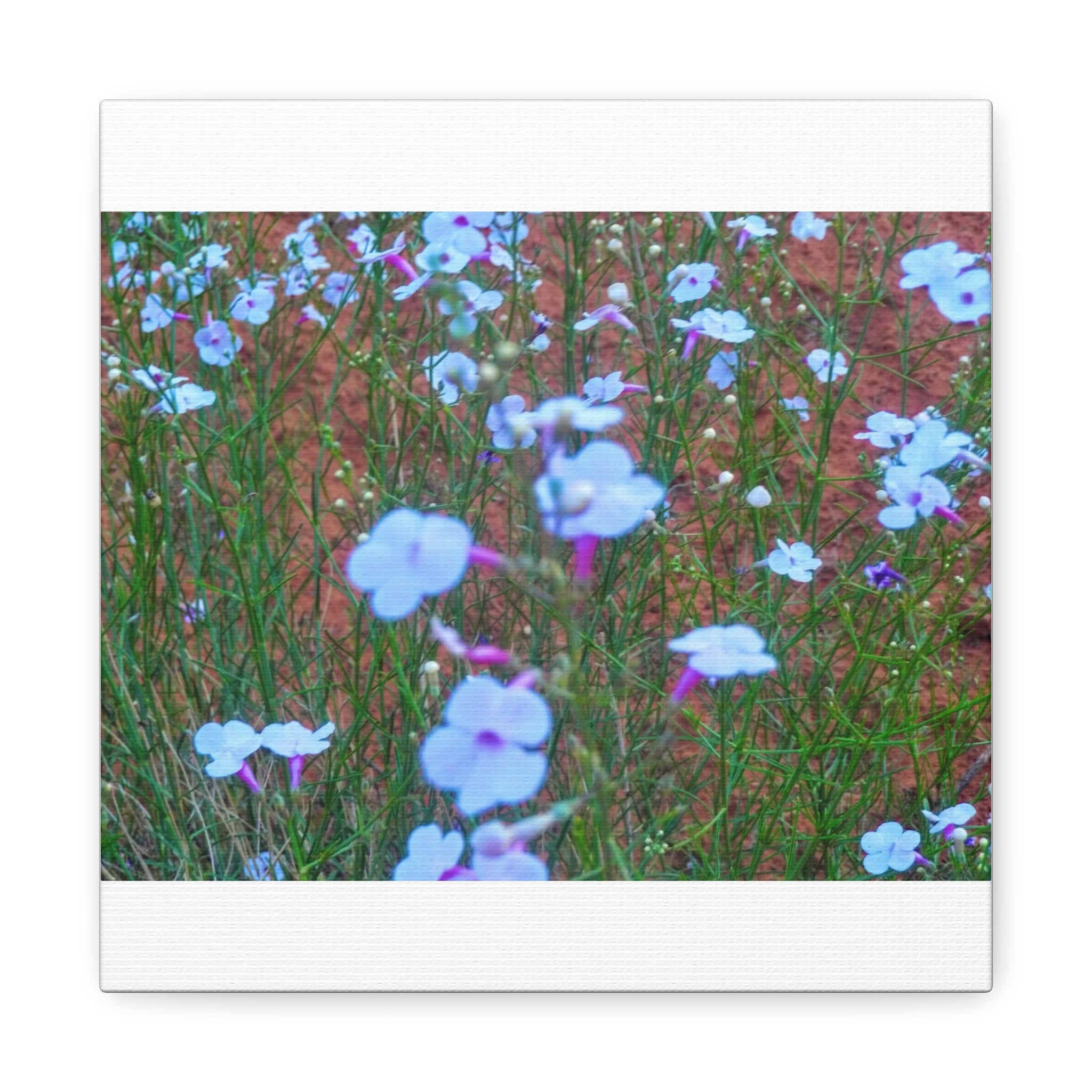 Floral Canvas Wall Art, Home Decor, Wall Hanging, Gift Idea, Nature Art, Flower Print
