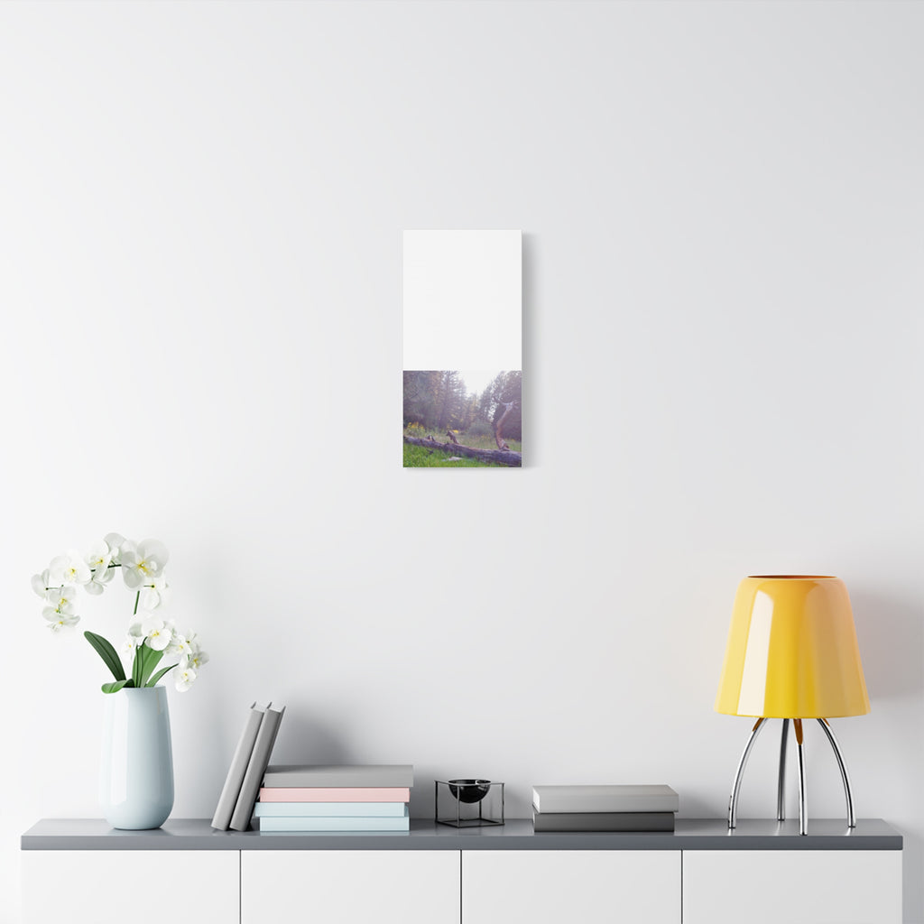 Matte Canvas Wall Art - Serene Nature Scene, Perfect for Home Decor, Gift for Nature Lovers, Office Wall Decoration, Rustic Art Print