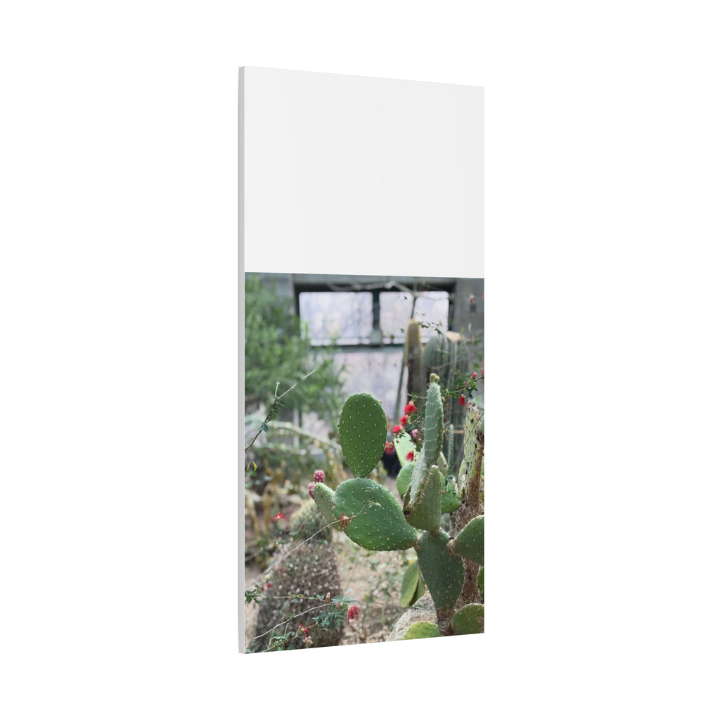 Cactus Matte Canvas Wall Art, Nature Decor, Southwestern Room Design, Green Plant Prints, Home and Office Wall Decor