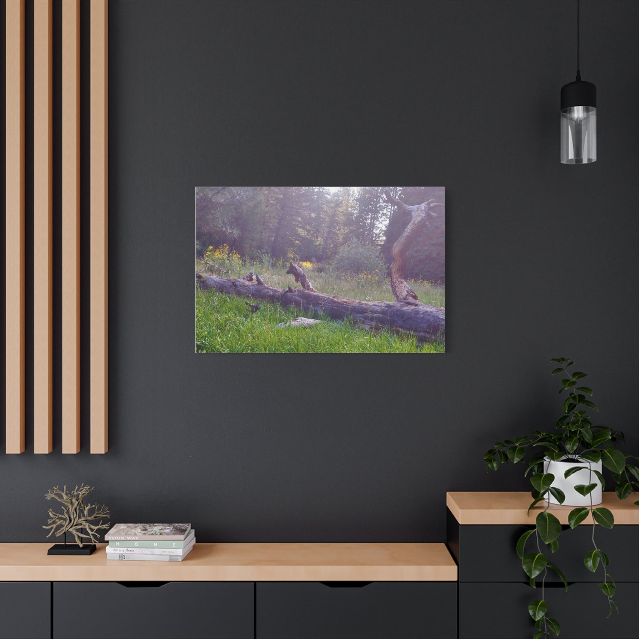 Matte Canvas Wall Art - Serene Nature Scene, Perfect for Home Decor, Gift for Nature Lovers, Office Wall Decoration, Rustic Art Print