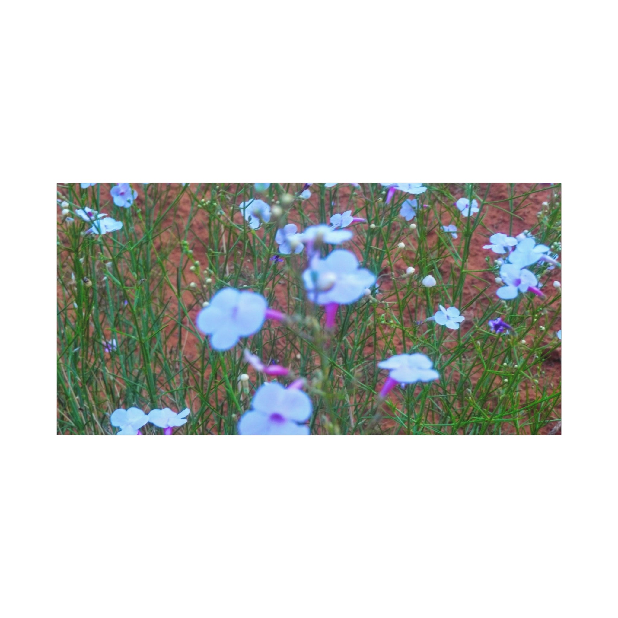 Floral Canvas Wall Art, Home Decor, Wall Hanging, Gift Idea, Nature Art, Flower Print