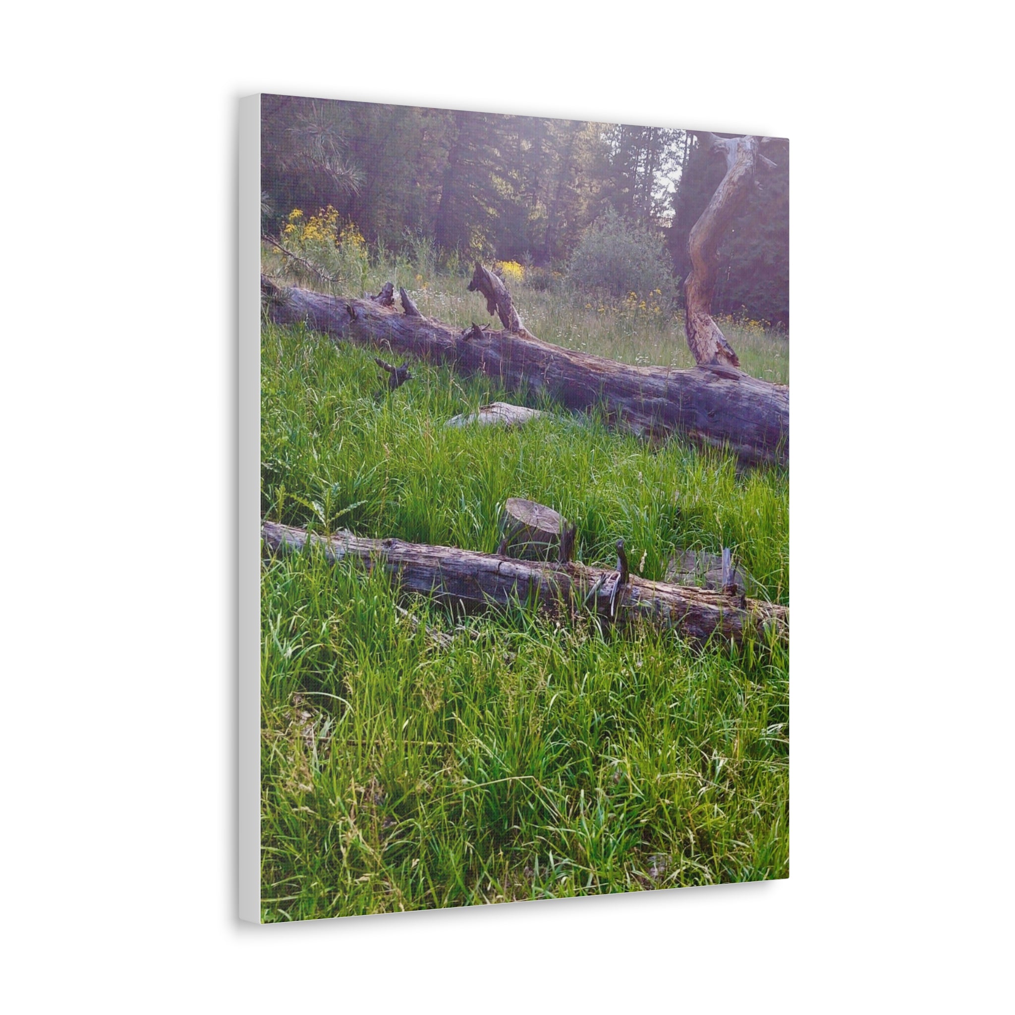 Classic Canvas Wall Art - Nature Decor, Outdoor Wall Hanging, Home Aesthetic, Gift for Nature Lovers, Rustic Cabin Decor