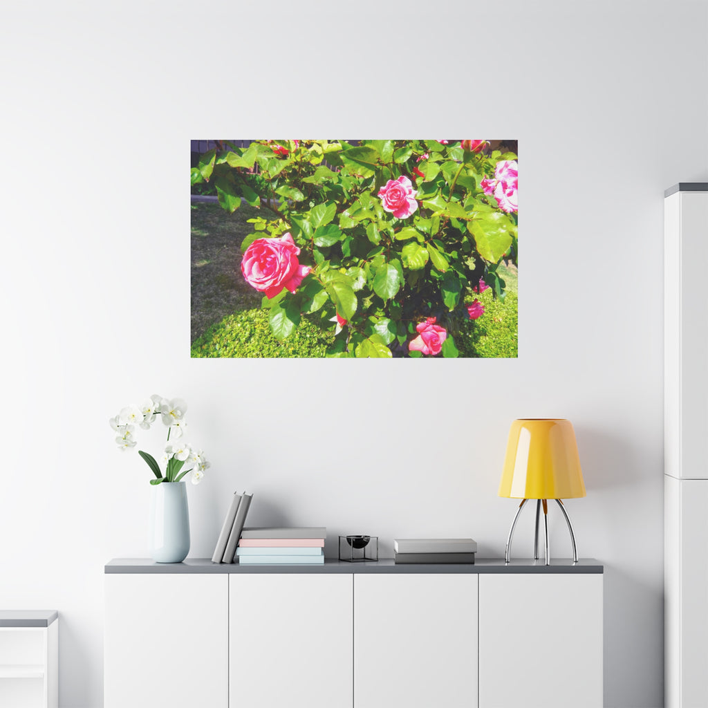 Floral Canvas Wall Art, Pink Rose Decor, Home Gallery Piece, Flower Photography, Garden Wall Decor, Floral Print