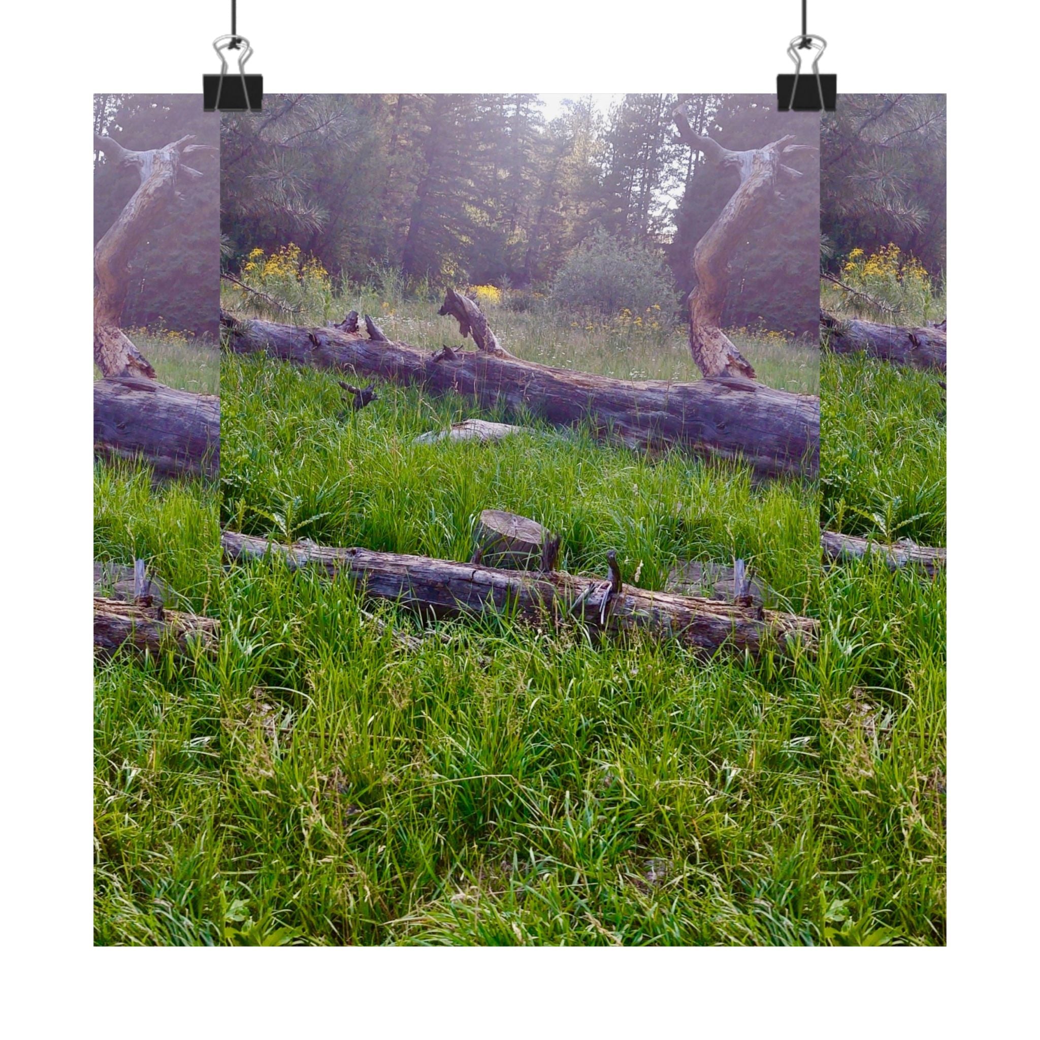 Nature-Inspired Matte Vertical Posters, Wall Art, Home Decor, Gift for Nature Lovers, Room Decoration, Eco-Friendly Art