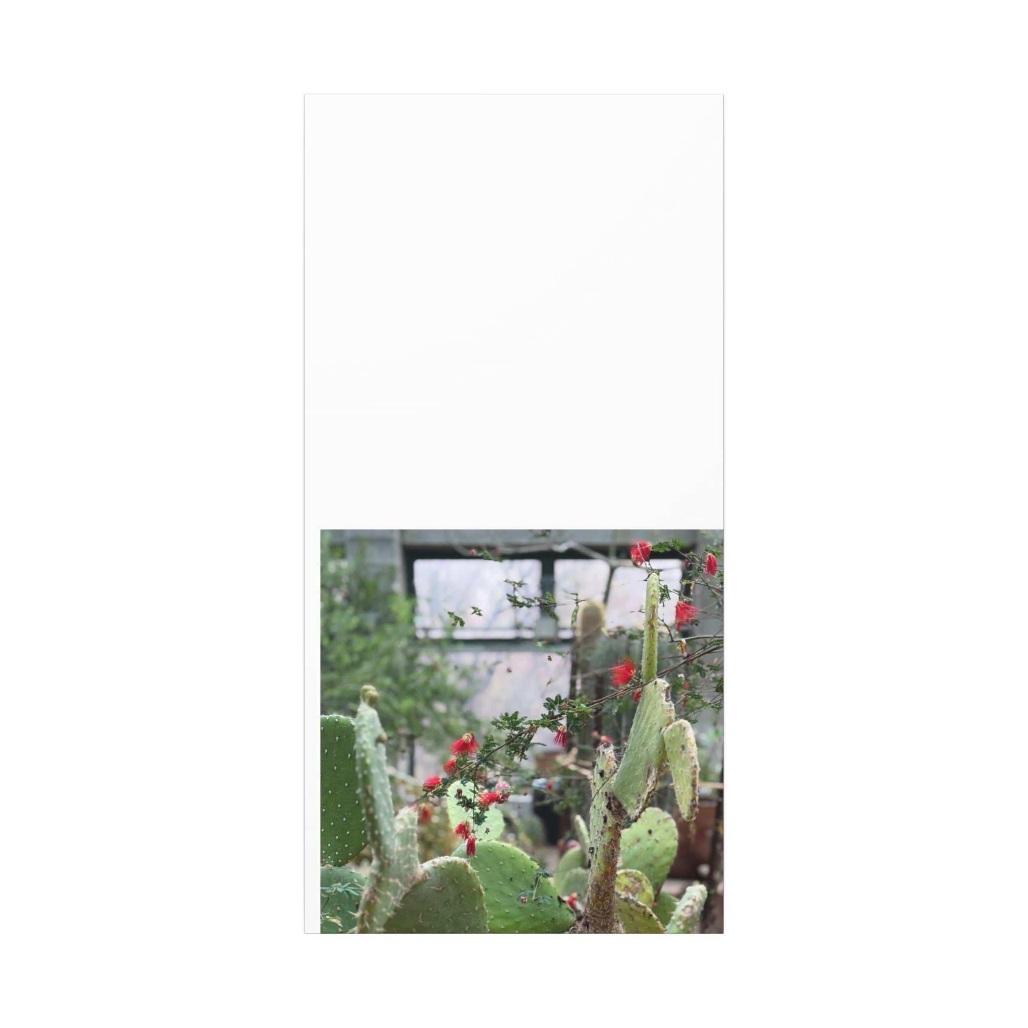 Cactus Wall Art Print, Nature Home Decor, Bohemian Style Artwork, Botanical Gift, Succulent Canvas