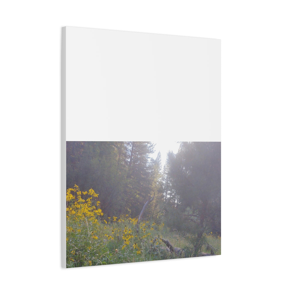 Matte Canvas, Stretched, 1.25"