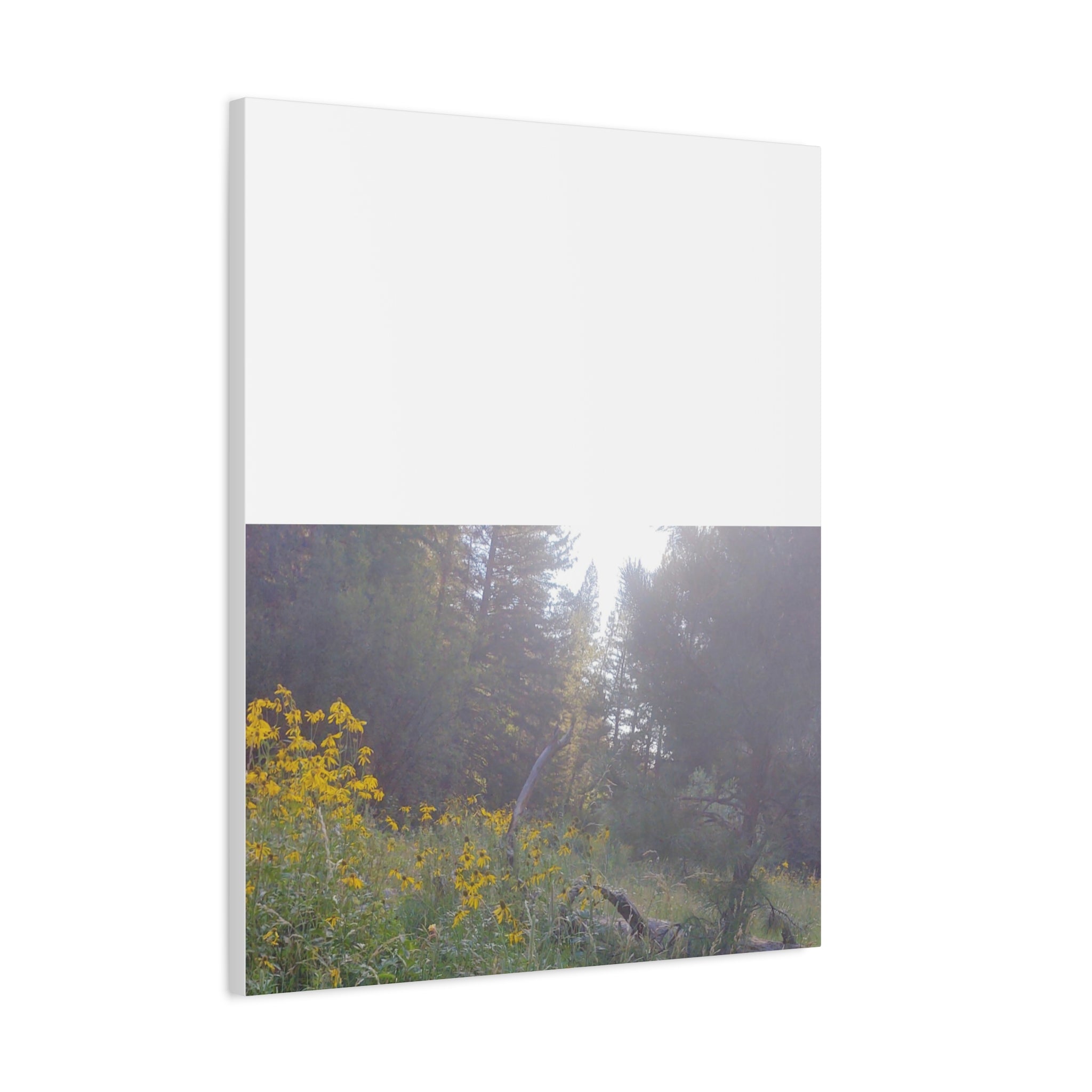 Matte Canvas, Stretched, 1.25"