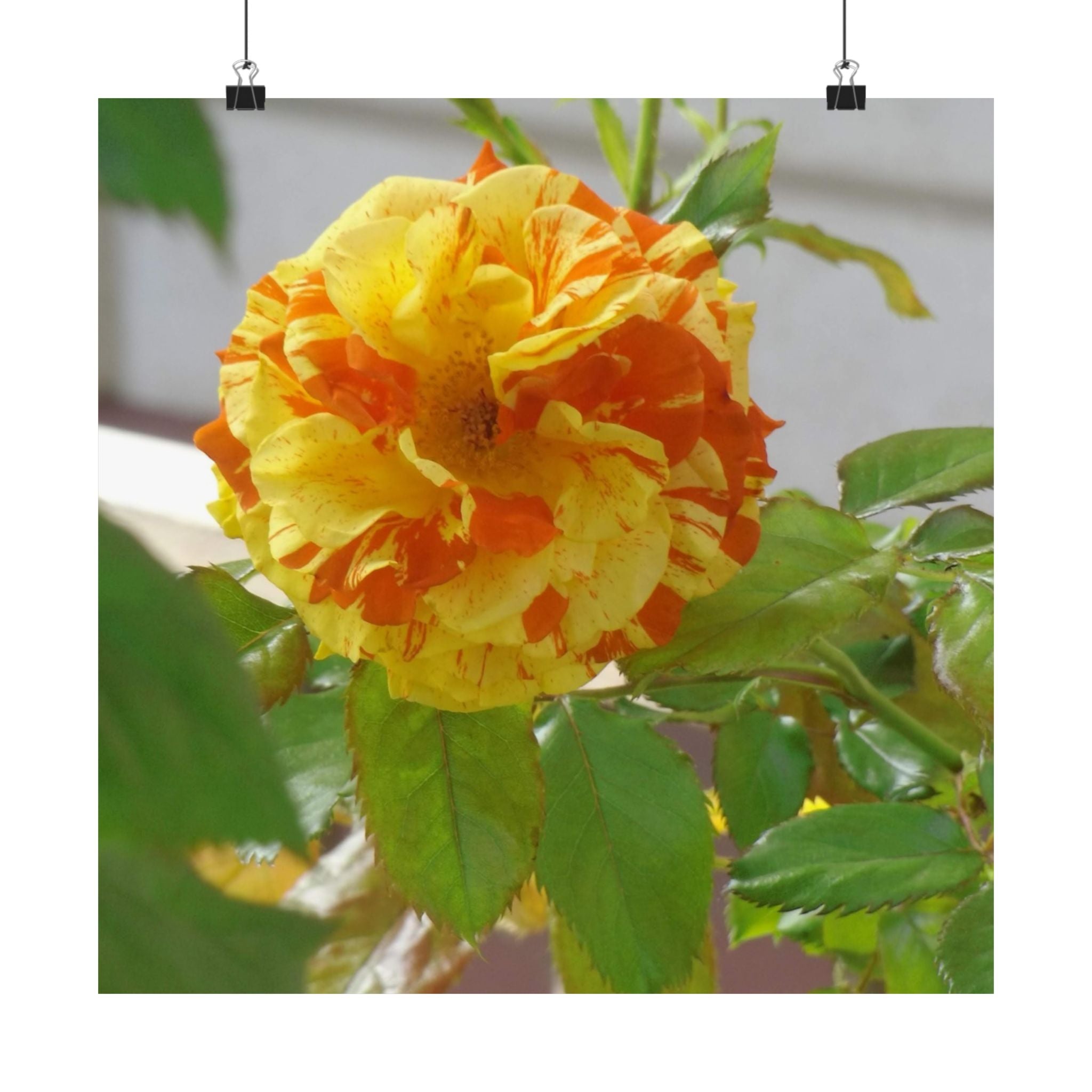 Vibrant Floral Wall Art, Matte Vertical Posters, Home Decor, Flower Illustration, Gift for Nature Lovers, Modern Art Prints, Colorful [...]