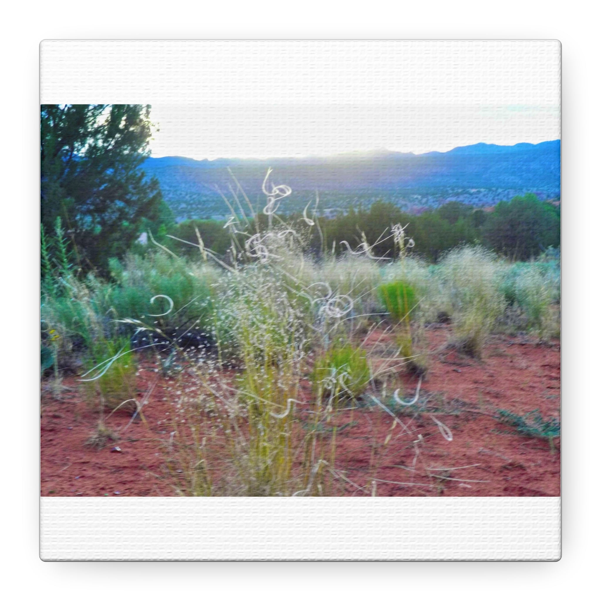Serene Desert Landscape Canvas Print, Nature Wall Art, Home Decor, Gift for Nature Lovers, Rustic Art for Living Room, Boho Decor