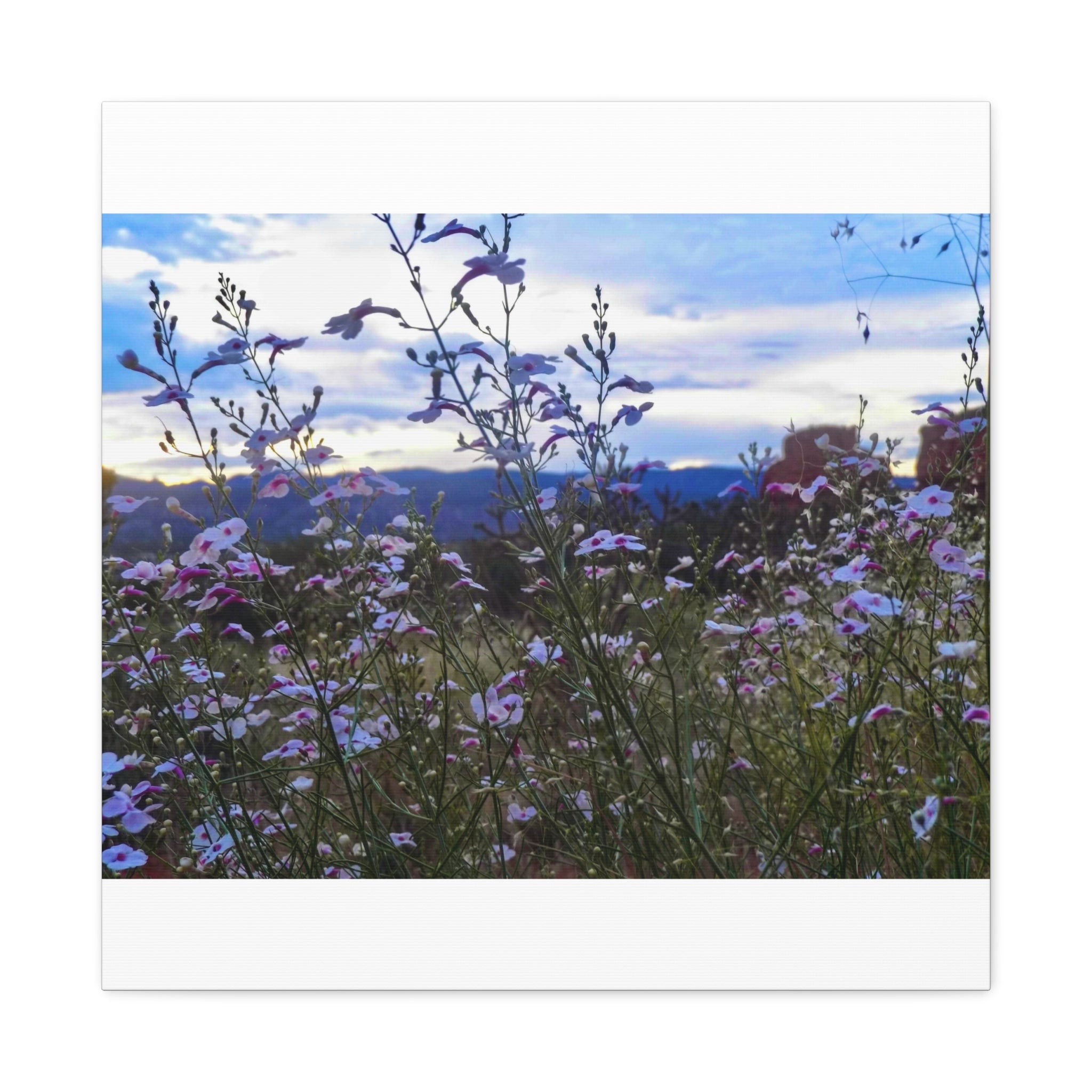 Floral Wall Art Canvas, Nature-Inspired Home Decor, Flower Print, Rustic Living Room, Gift for Gardeners, Boho Wall Art