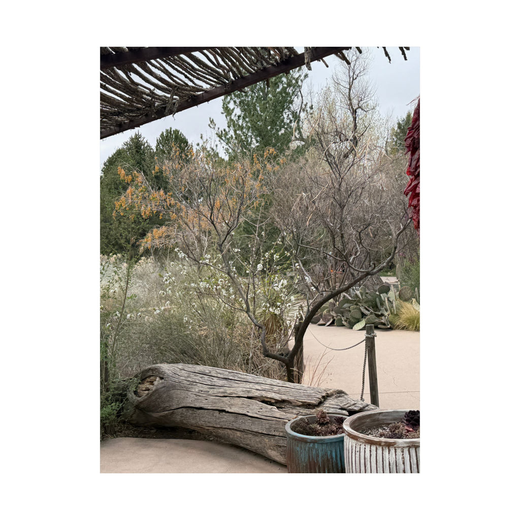 Matte Vertical Posters | Nature-Inspired Wall Art, Rustic Decor, Home Aesthetic, Gift for Nature Lovers, Bohemian Poster Prints