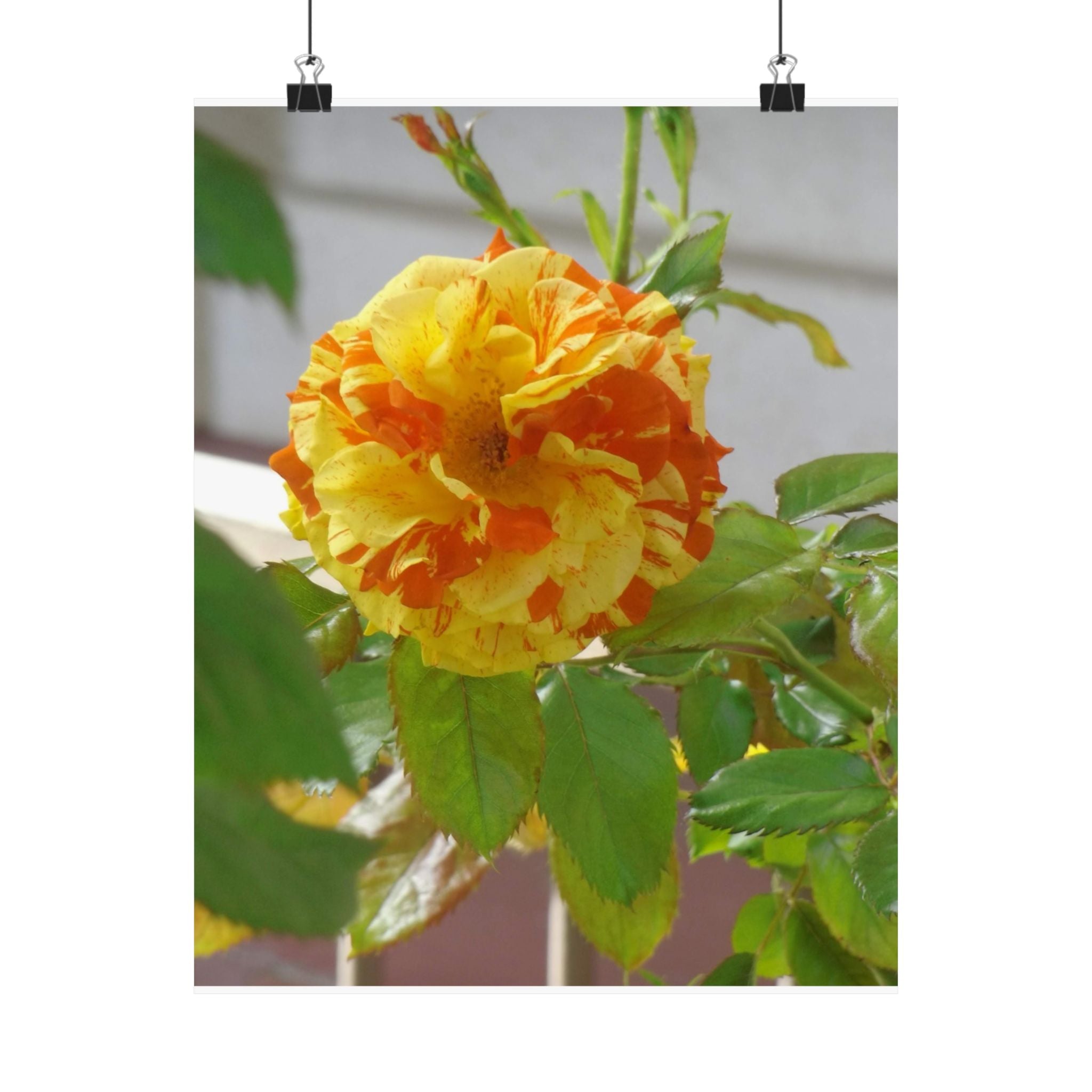 Vibrant Floral Wall Art, Matte Vertical Posters, Home Decor, Flower Illustration, Gift for Nature Lovers, Modern Art Prints, Colorful [...]