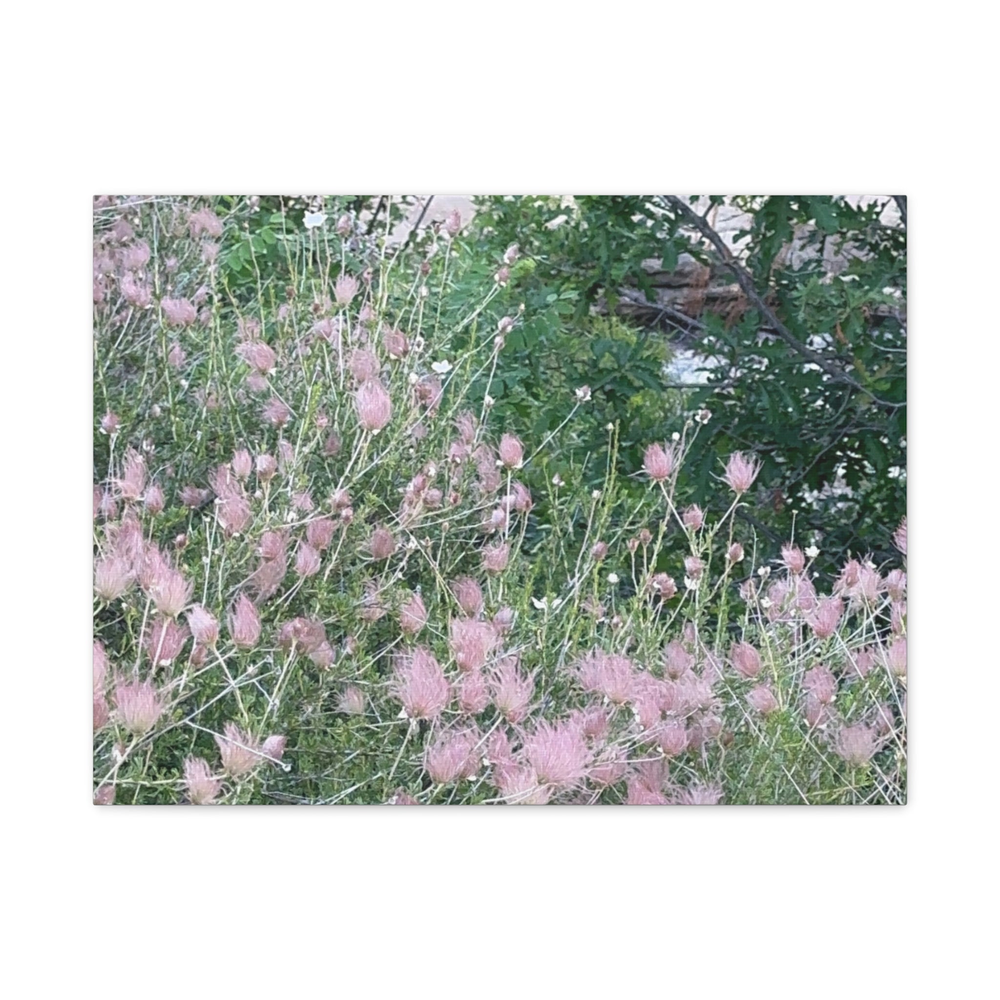 Floral Wall Art Canvas, Home Decor, Nature Lover Gift, Botanical Print, Spring Decor, Mother’s Day