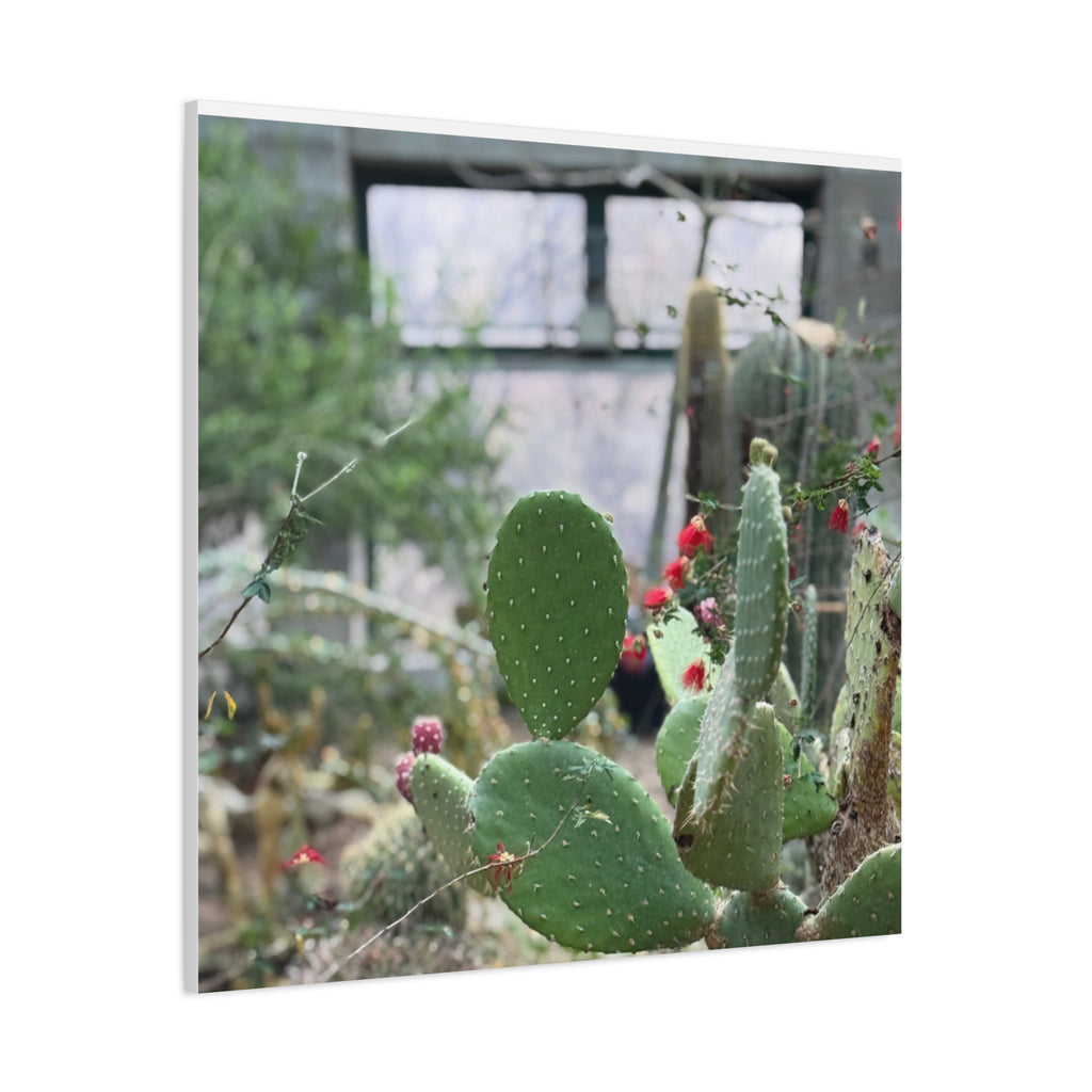 Cactus Matte Canvas Wall Art, Nature Decor, Southwestern Room Design, Green Plant Prints, Home and Office Wall Decor