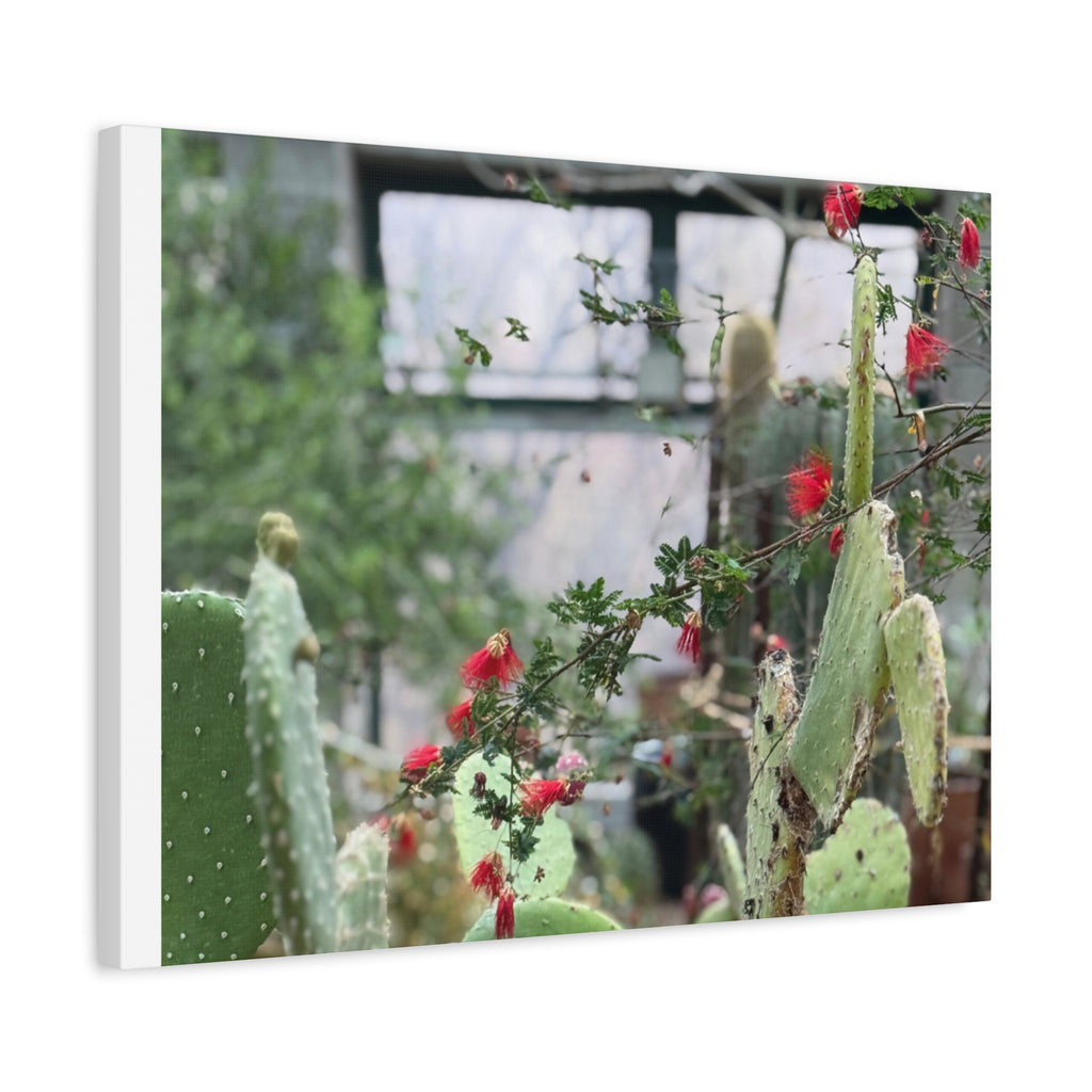 Cactus Wall Art Print, Nature Home Decor, Bohemian Style Artwork, Botanical Gift, Succulent Canvas