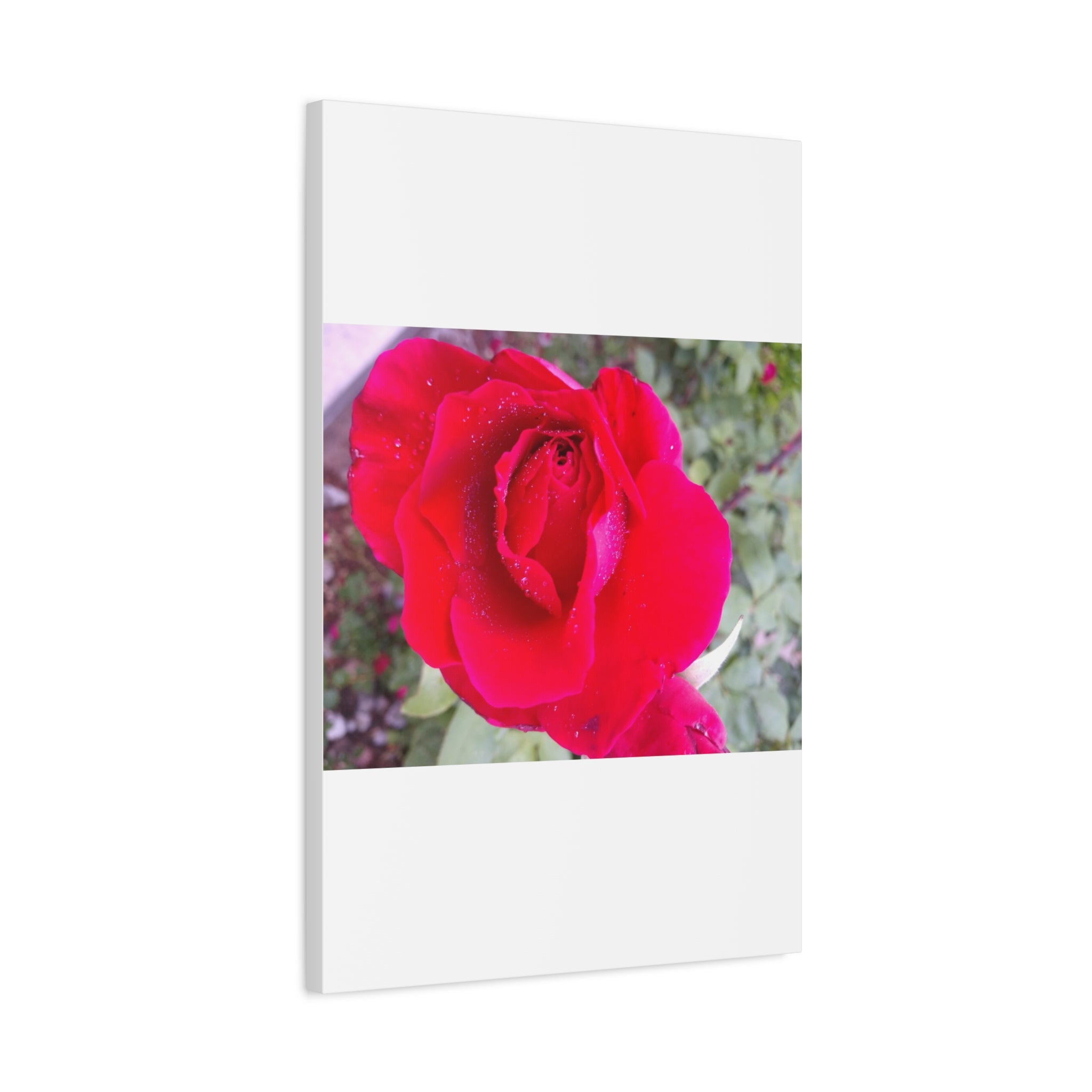 Vibrant Floral Canvas Art, Elegant Wall Decor, Perfect for Home, Gifts, Mother's Day, and Weddings