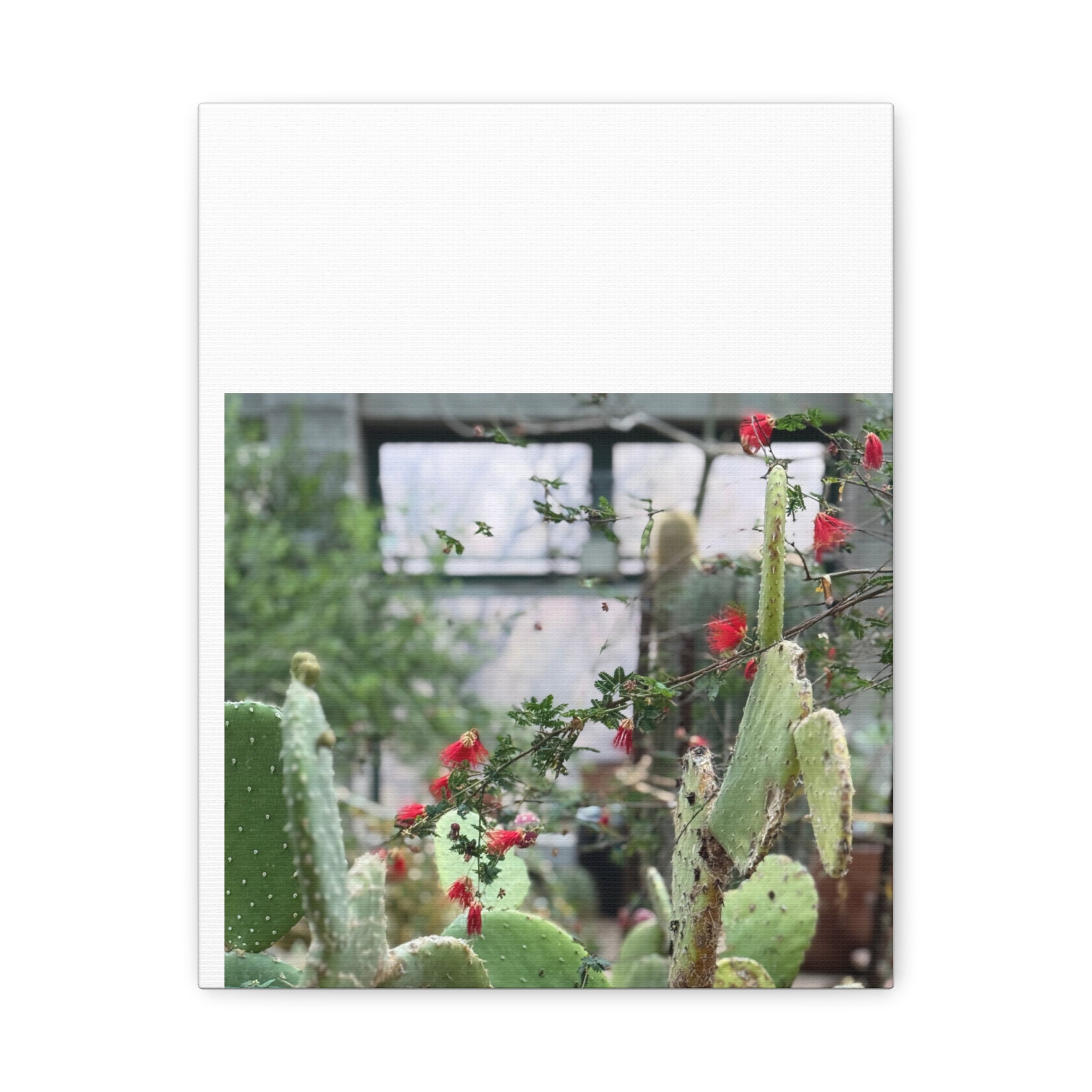 Cactus Wall Art Print, Nature Home Decor, Bohemian Style Artwork, Botanical Gift, Succulent Canvas