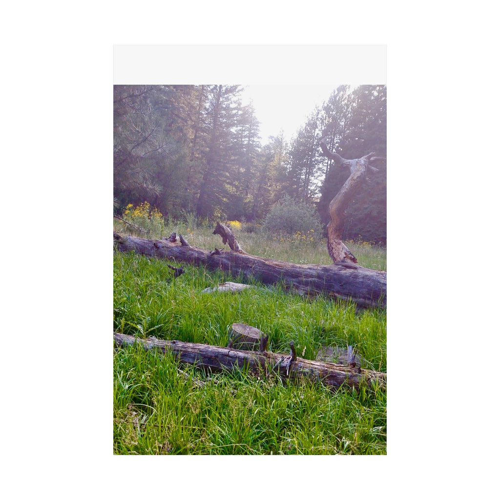 Nature-Inspired Matte Vertical Posters, Wall Art Decor, Forest Photo Prints, Home Aesthetic, Gift for Nature Lovers