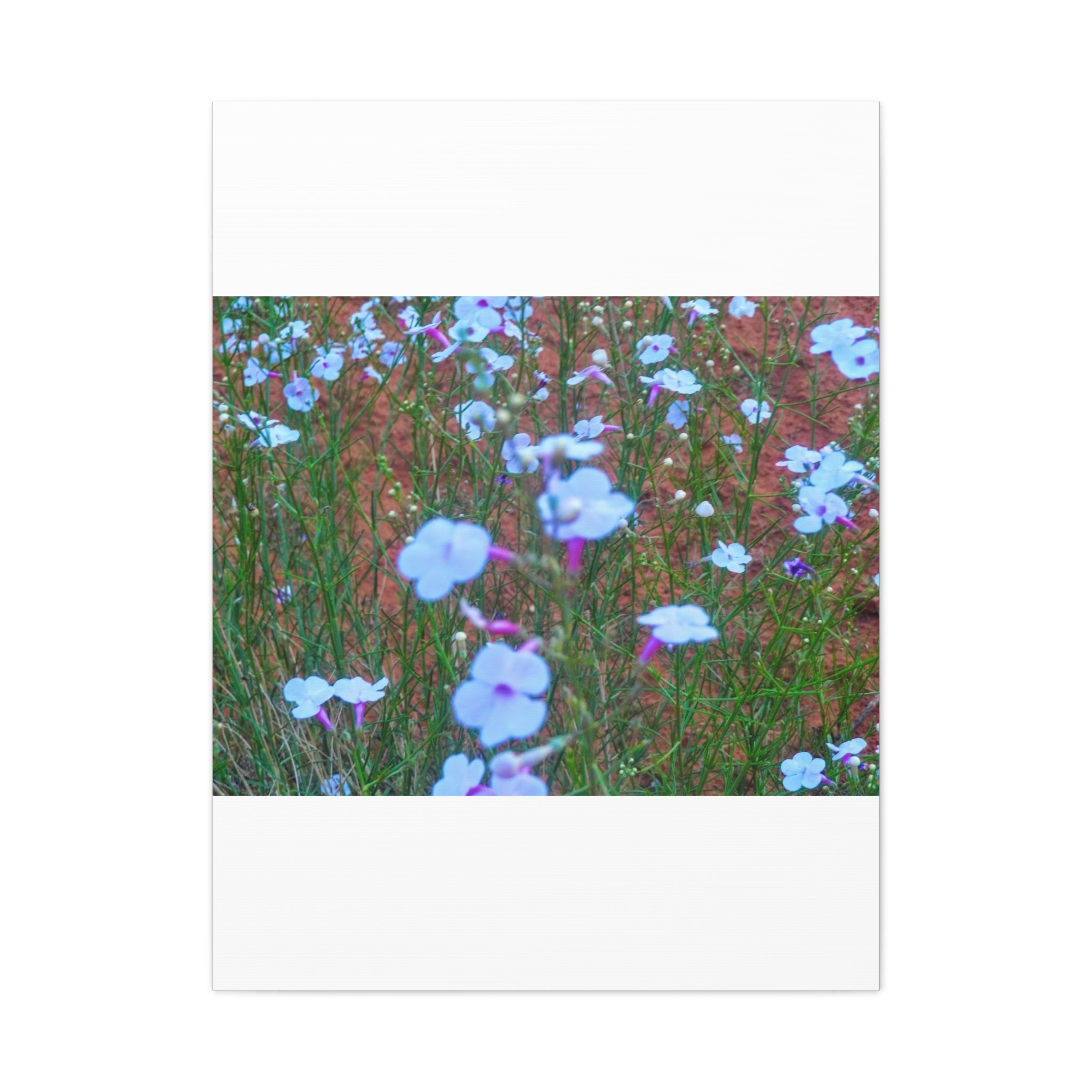 Floral Canvas Wall Art, Home Decor, Wall Hanging, Gift Idea, Nature Art, Flower Print