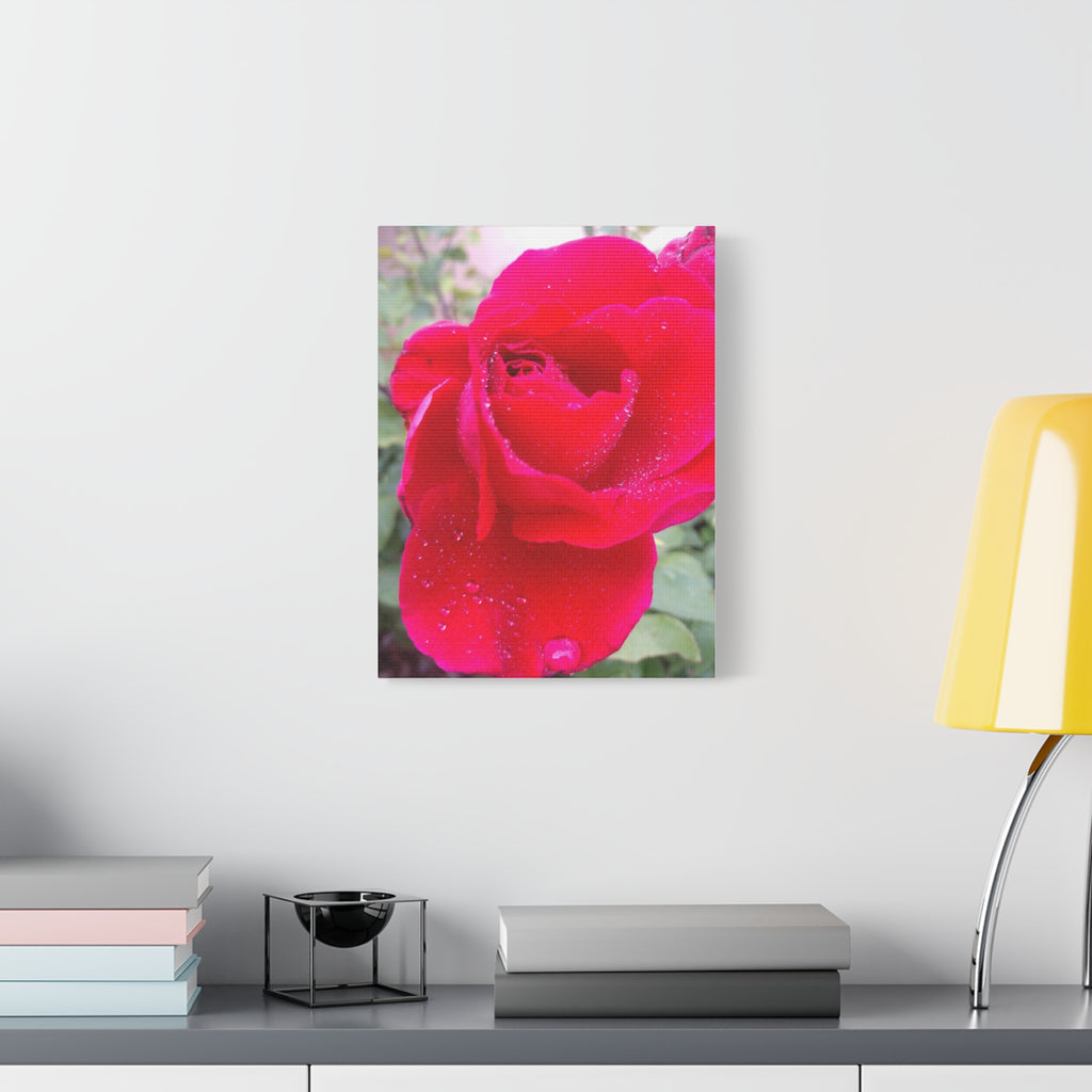 Stunning Floral Canvas Print, Home Decor, Wall Art, Gift for Flower Lovers, Red Rose Art, Mother's Day Gift